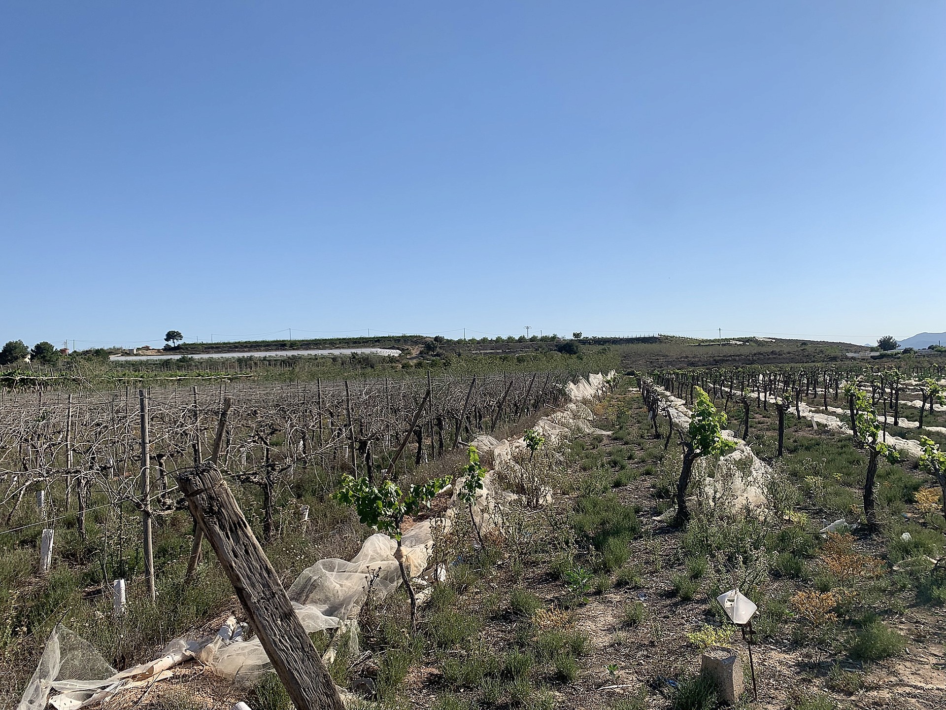 w_gaexts5x0ofbingvydhj