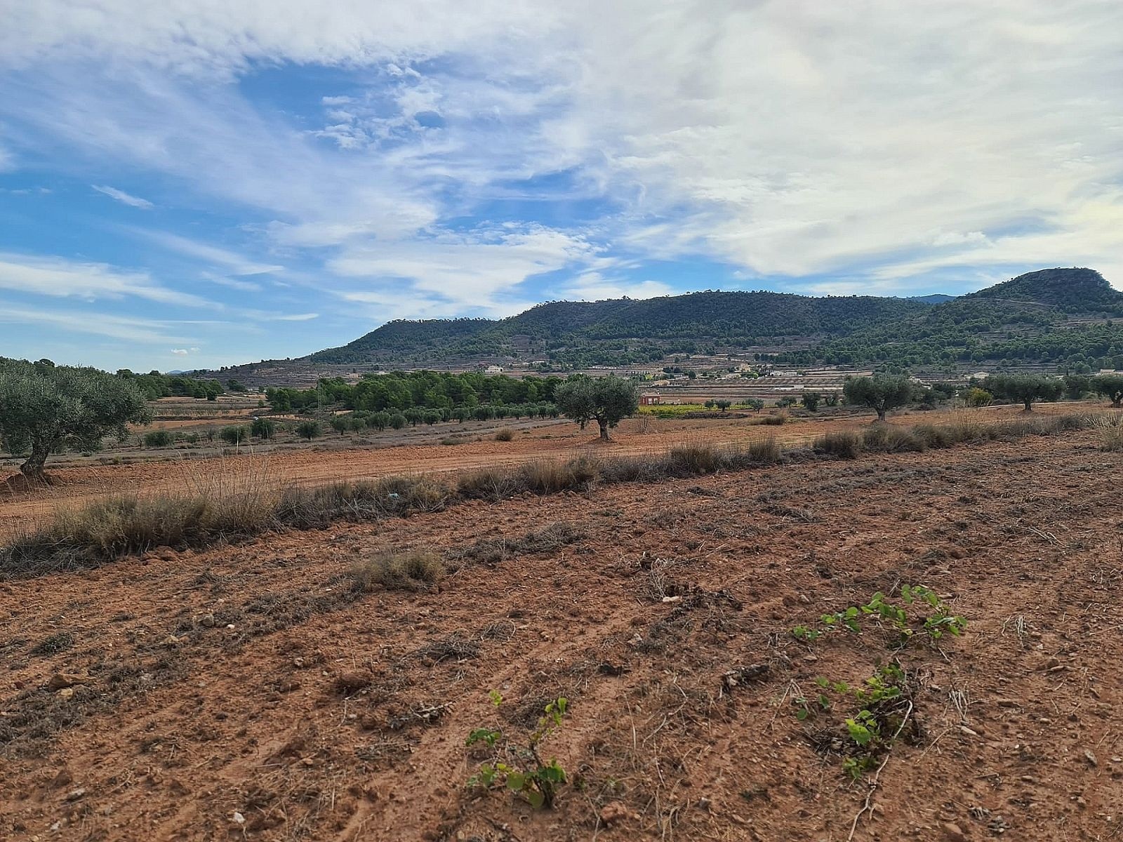 w_gqctw03c3jeui82xgk5k