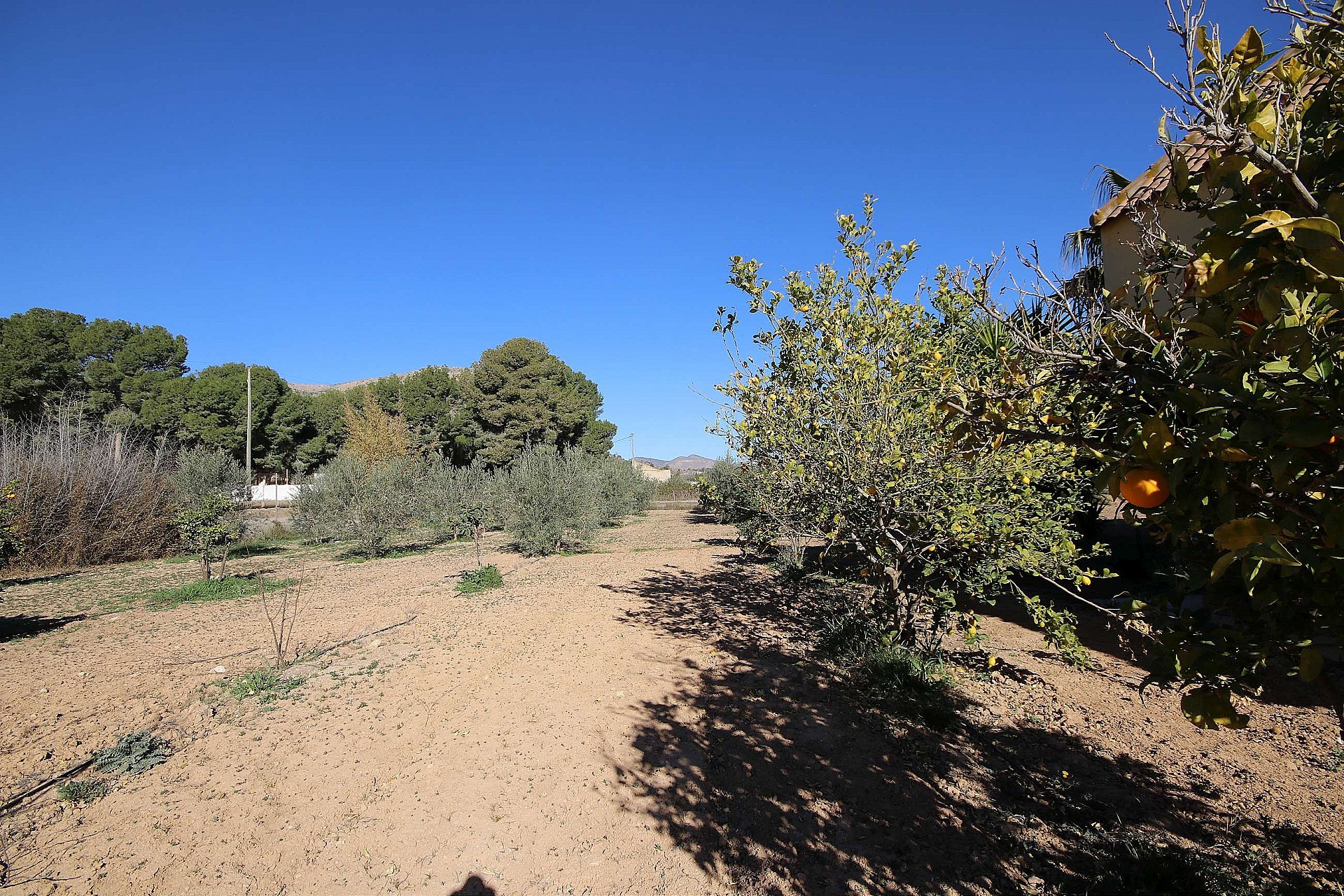 w_gwupw6ycd5ma4dowym83