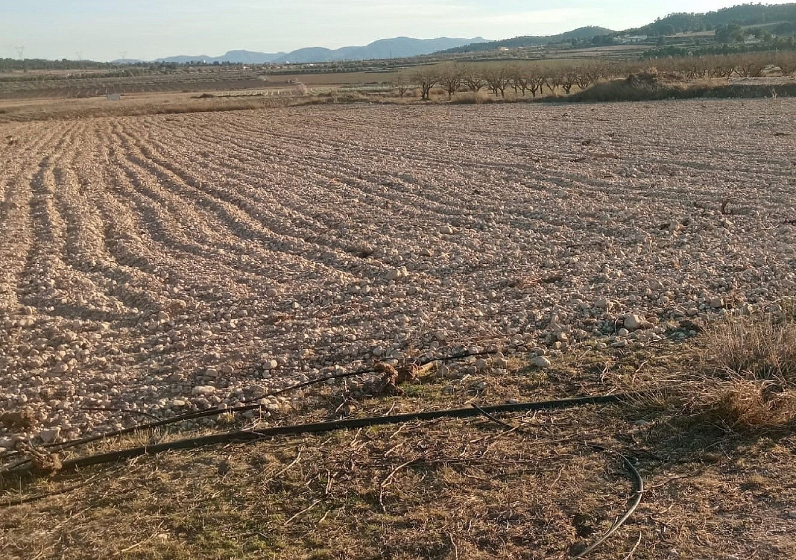 w_h5gv53kpvfcsmgm8uiw4