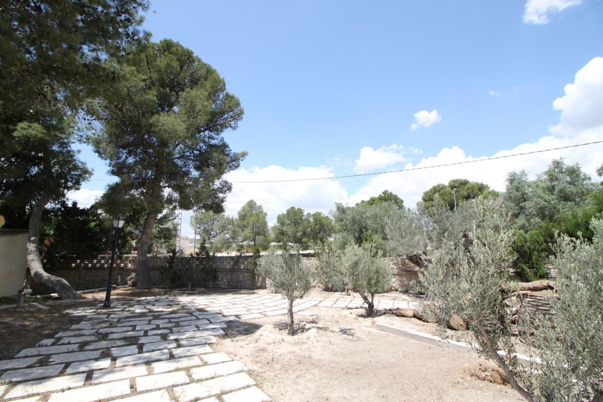 w_hhikd0mnw88siuff0vhc