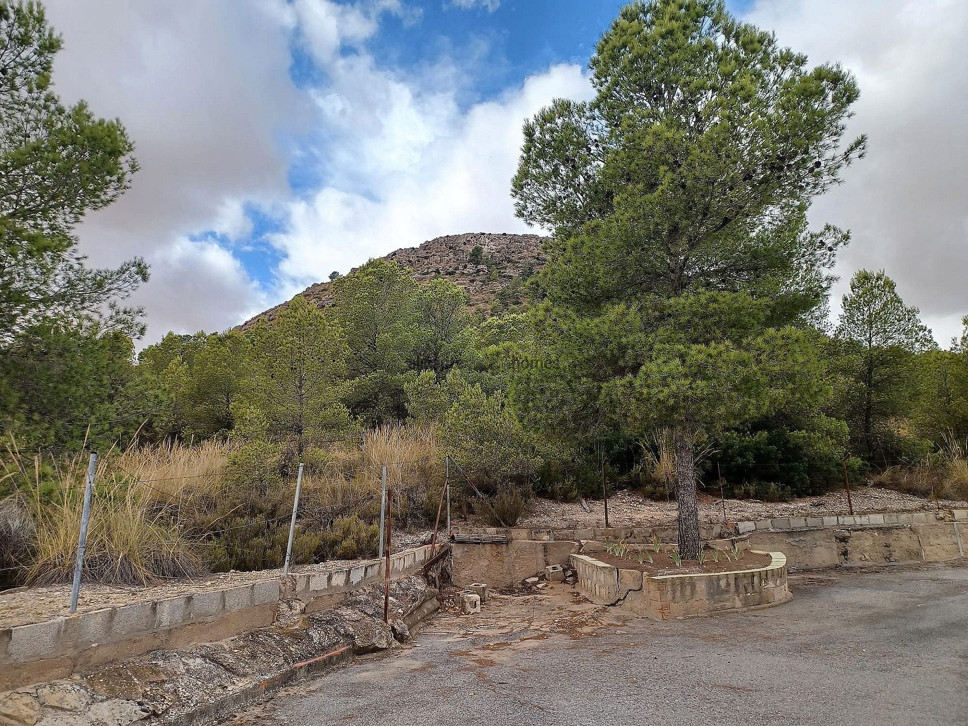 w_horj6oz7aq7vm26sic56