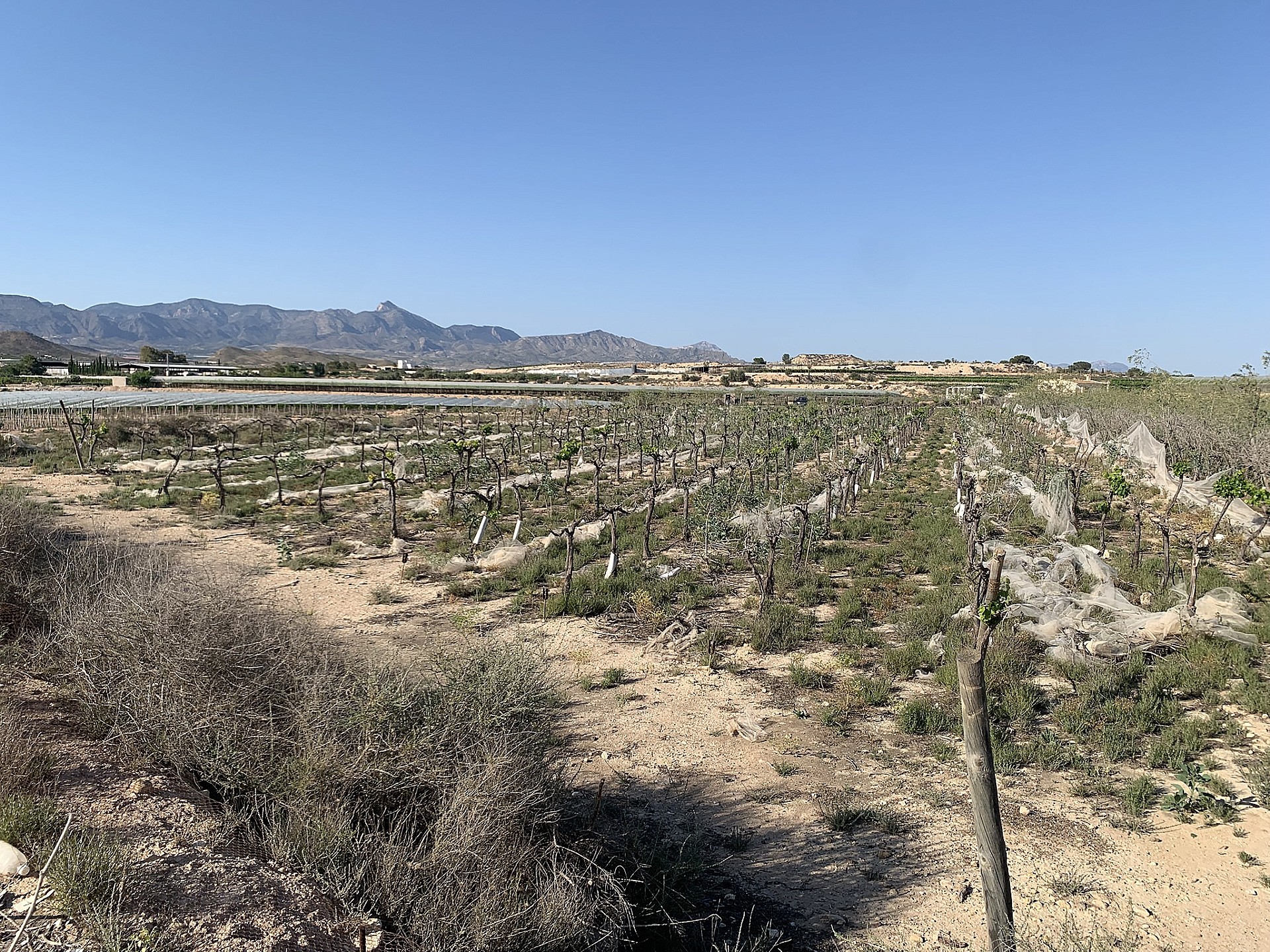 w_hzhunvee0zy0qfbgjp4f