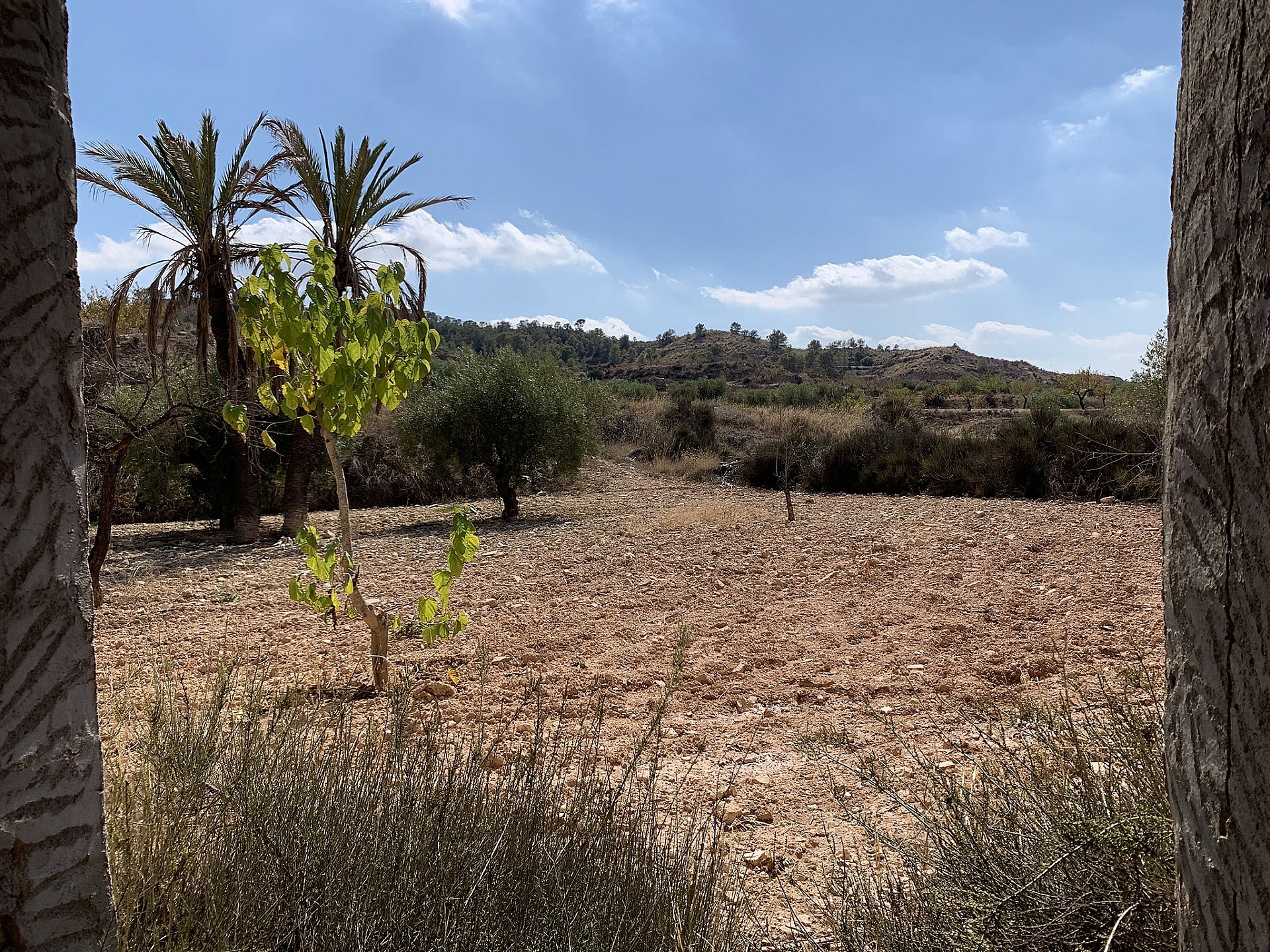 w_hztev2zdrr556wfoz7yb