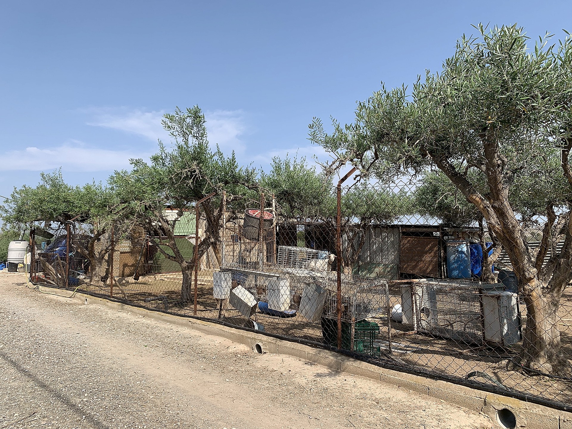 w_i477g0b4qir6gzbisyaa