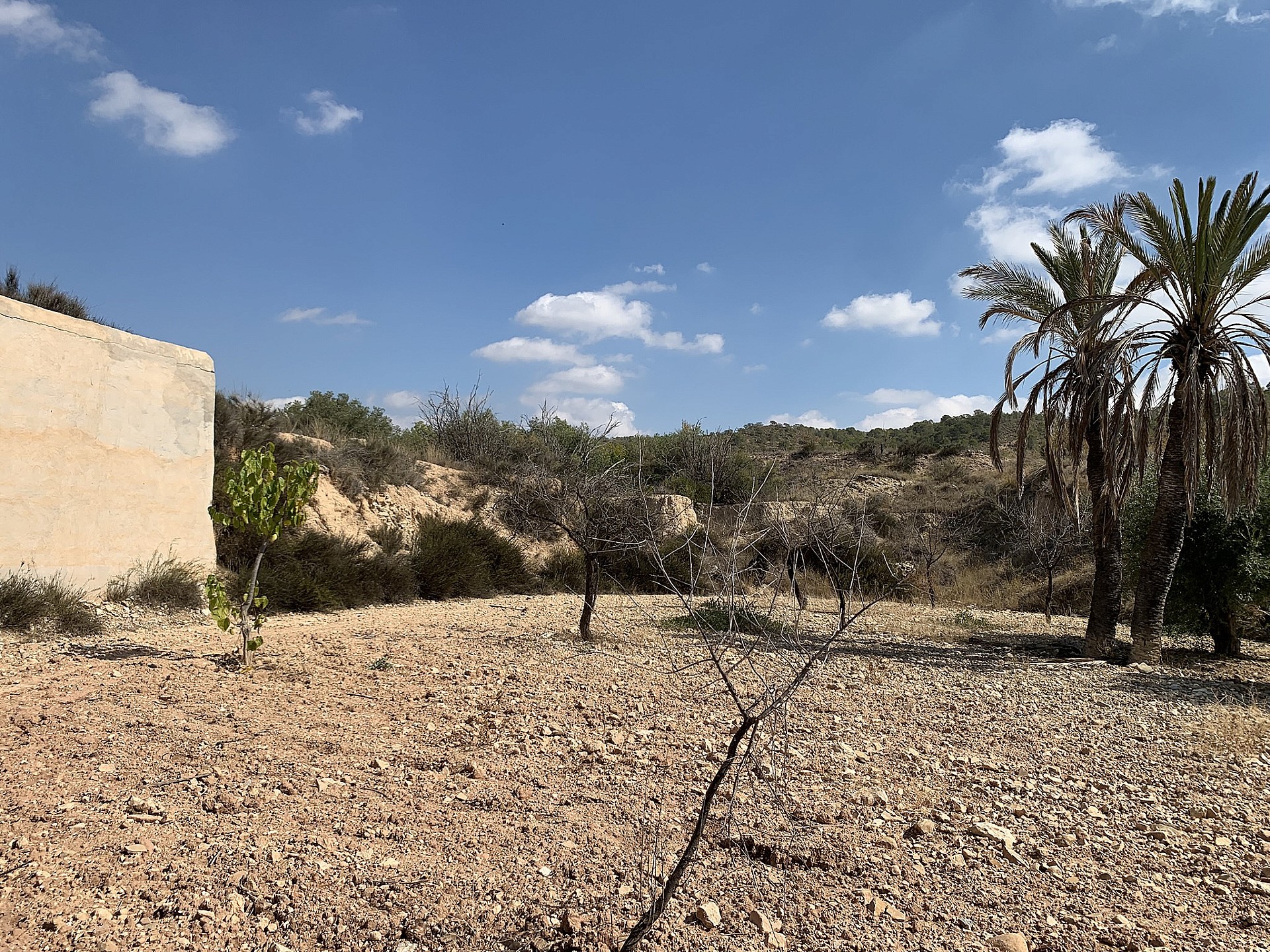 w_idniwbcsg7xqt0v8n436