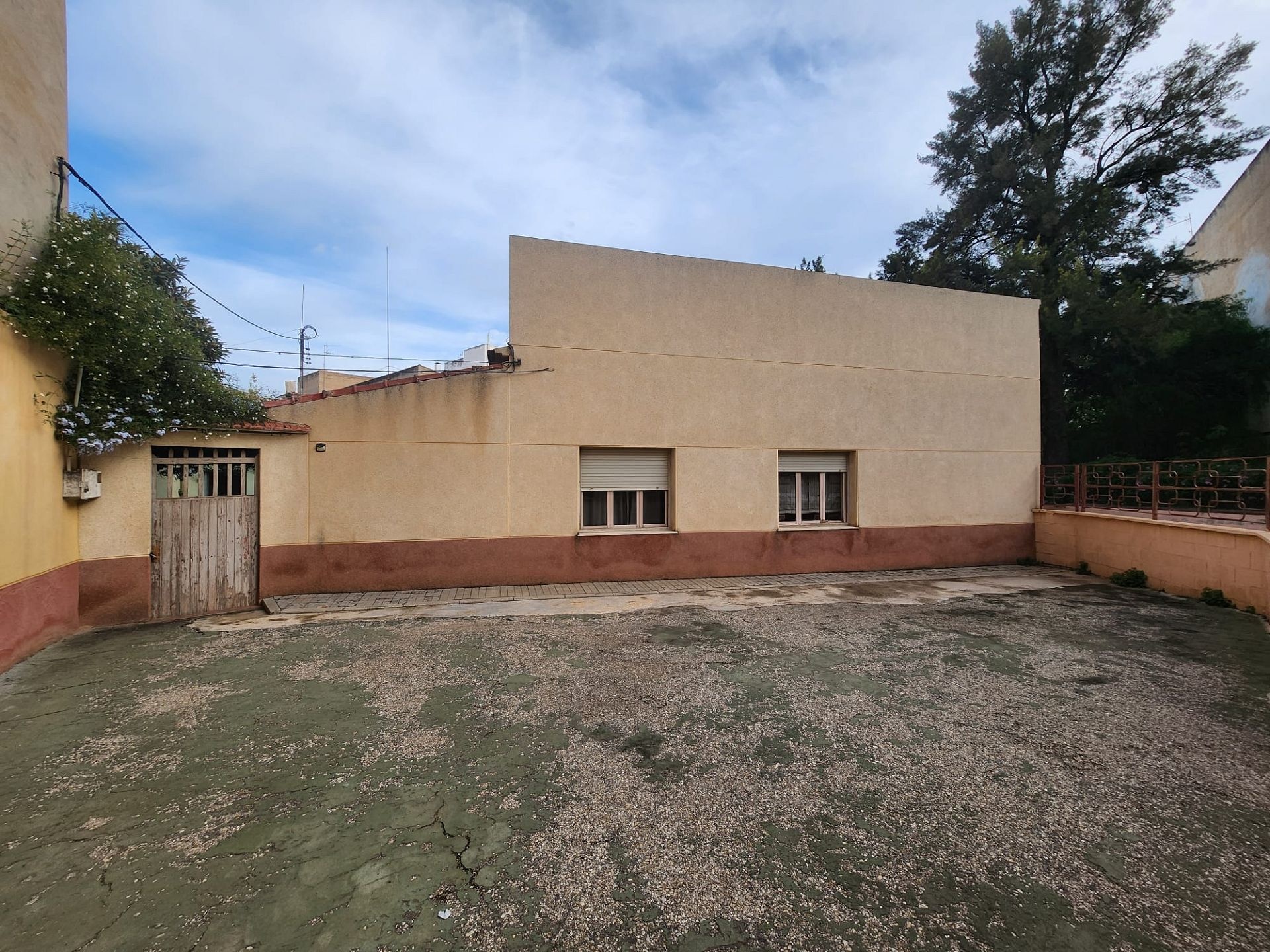 w_img-20241114-wa0017