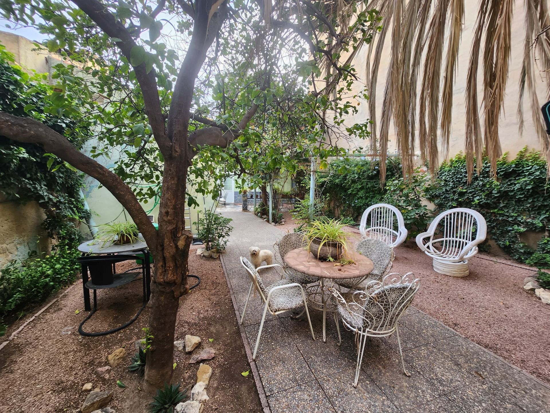 w_img-20241114-wa0018