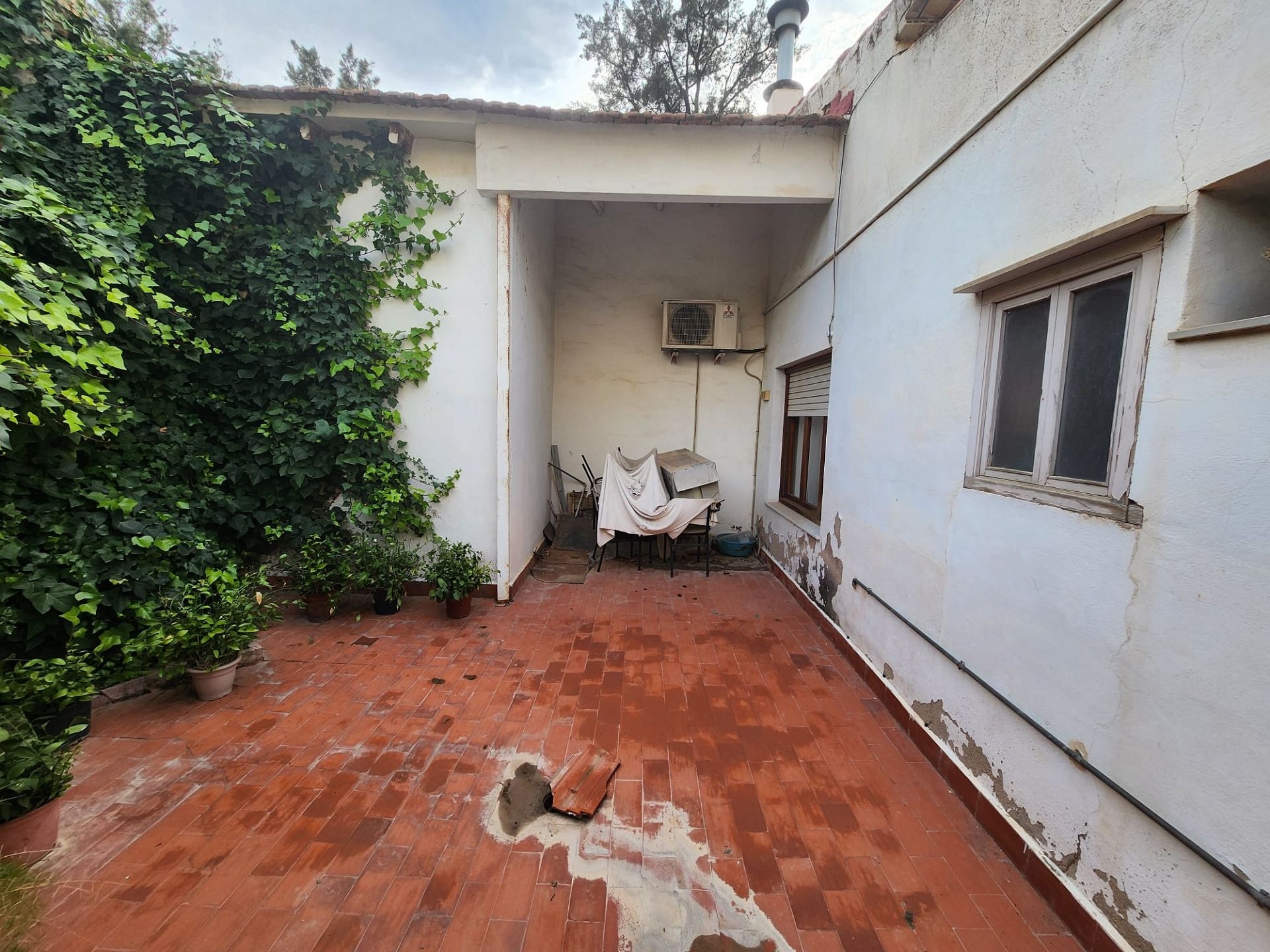 w_img-20241114-wa0031