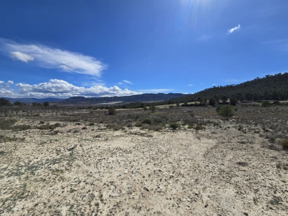 Grundstück in Salinas (Alicante)