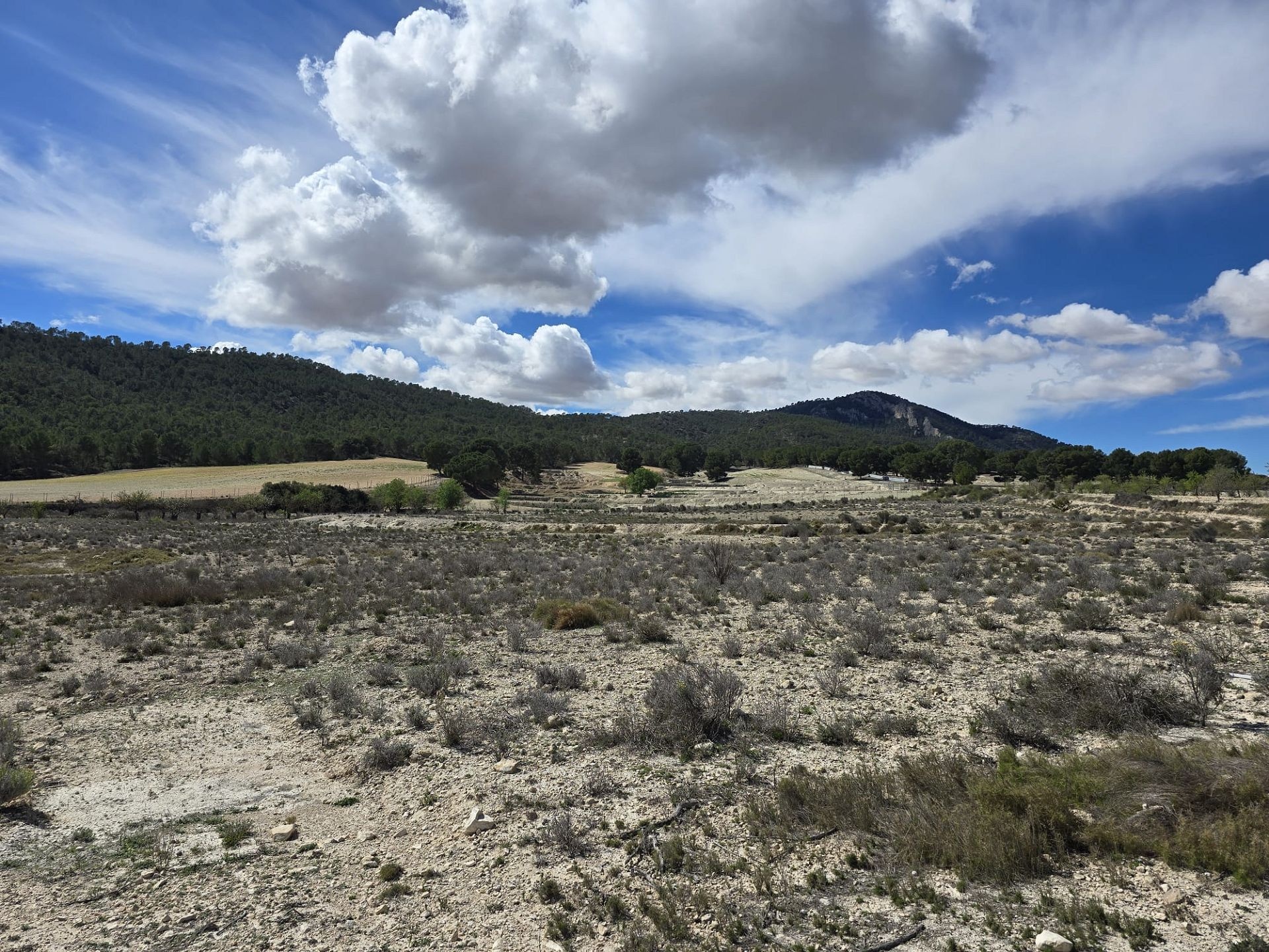 w_img-20250402-wa0115