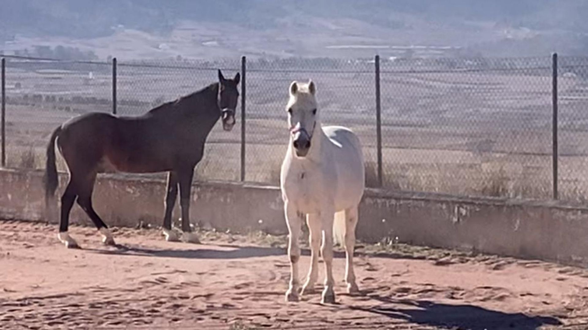 w_img-20250430-wa0014