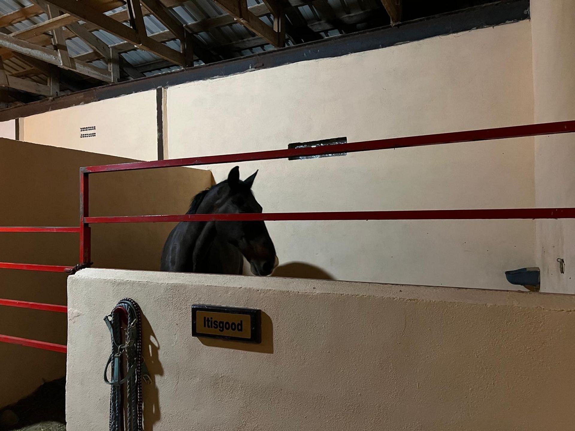 w_img-20250430-wa0017