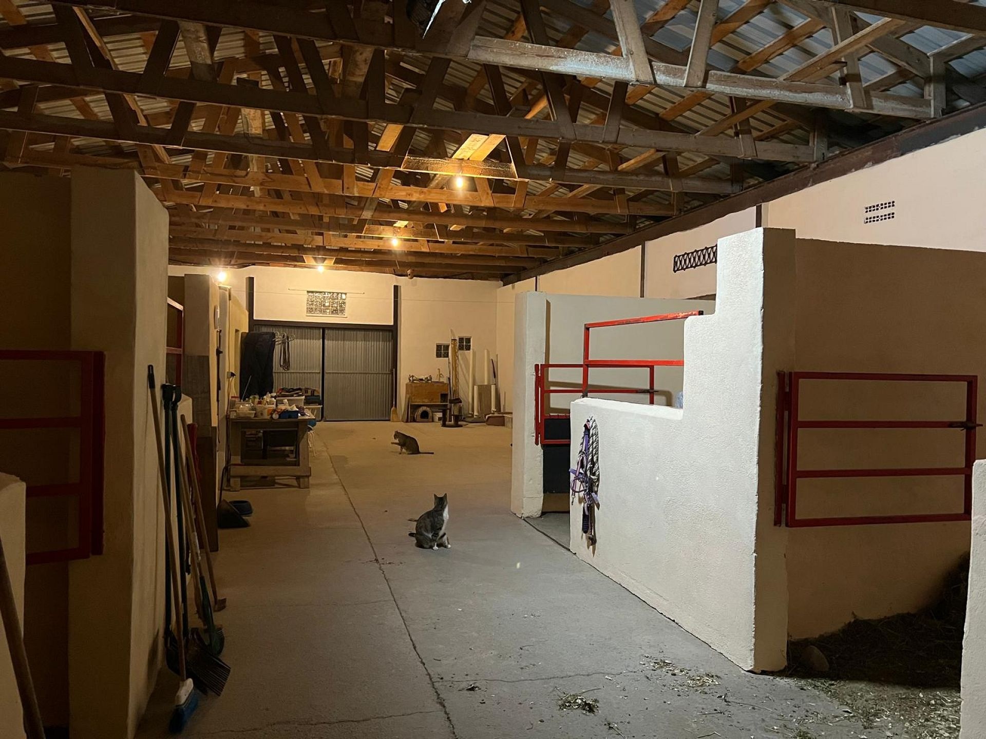 w_img-20250430-wa0018