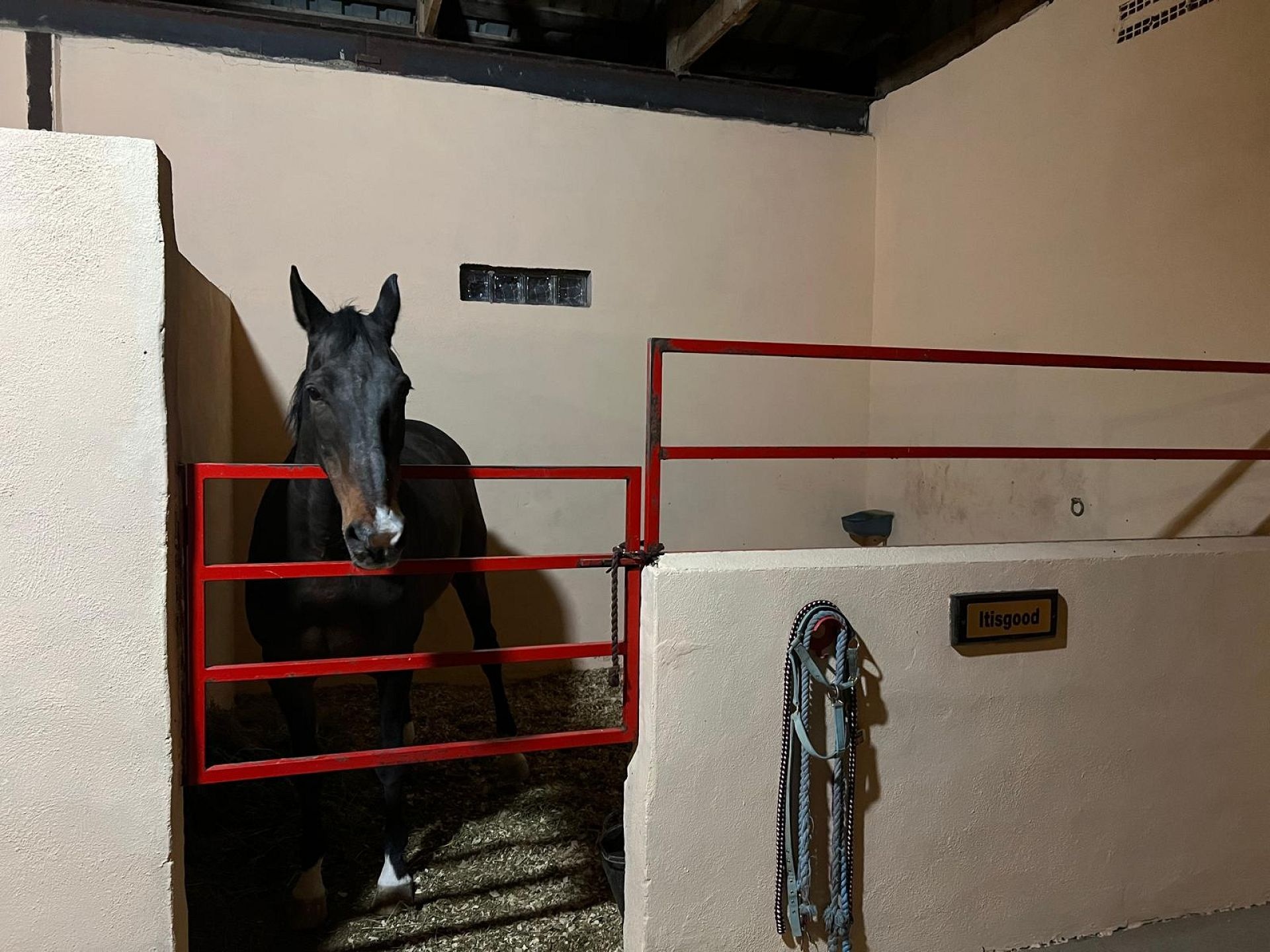 w_img-20250430-wa0022