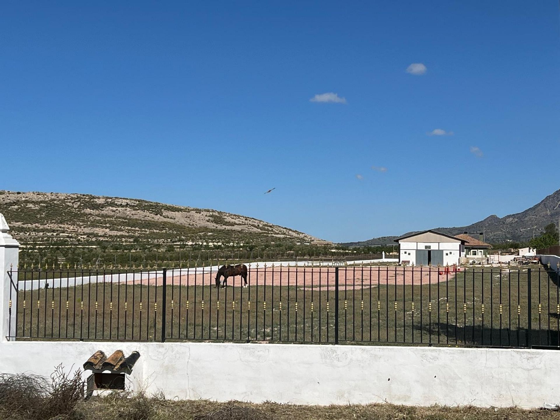 w_img-20250430-wa0032