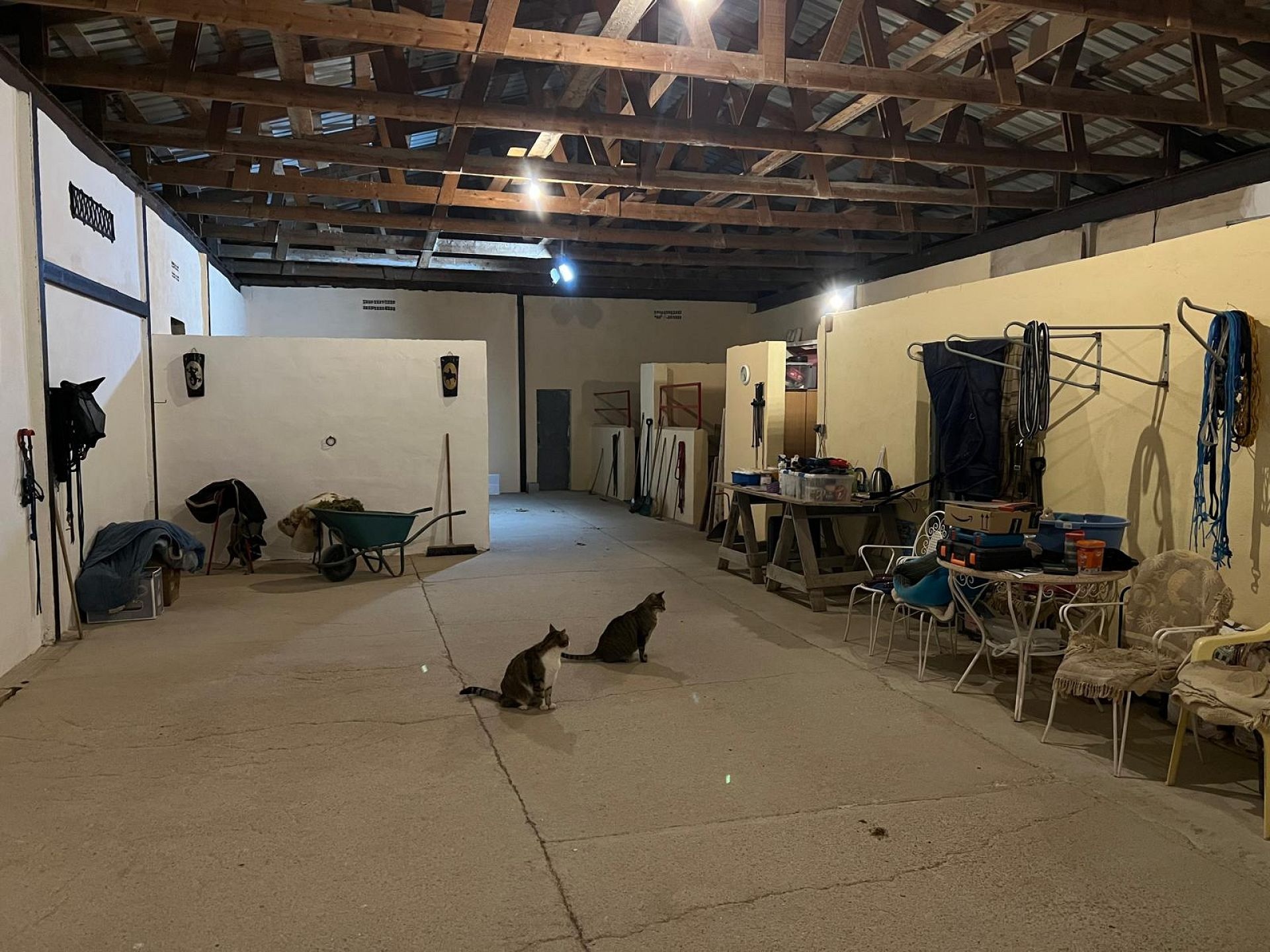 w_img-20250430-wa0048