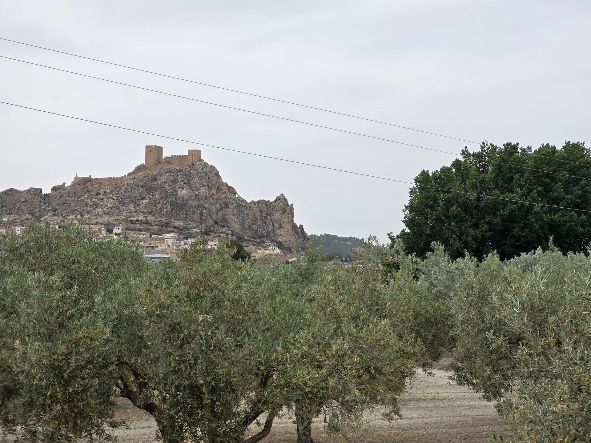 w_img-20250610-wa0032