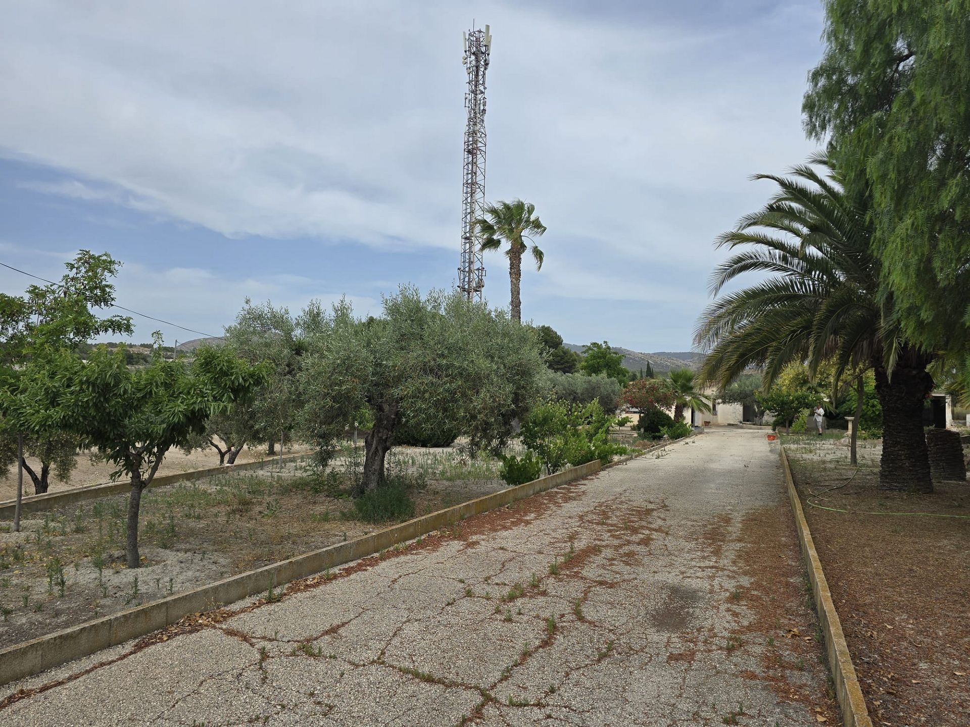 w_img-20250610-wa0033