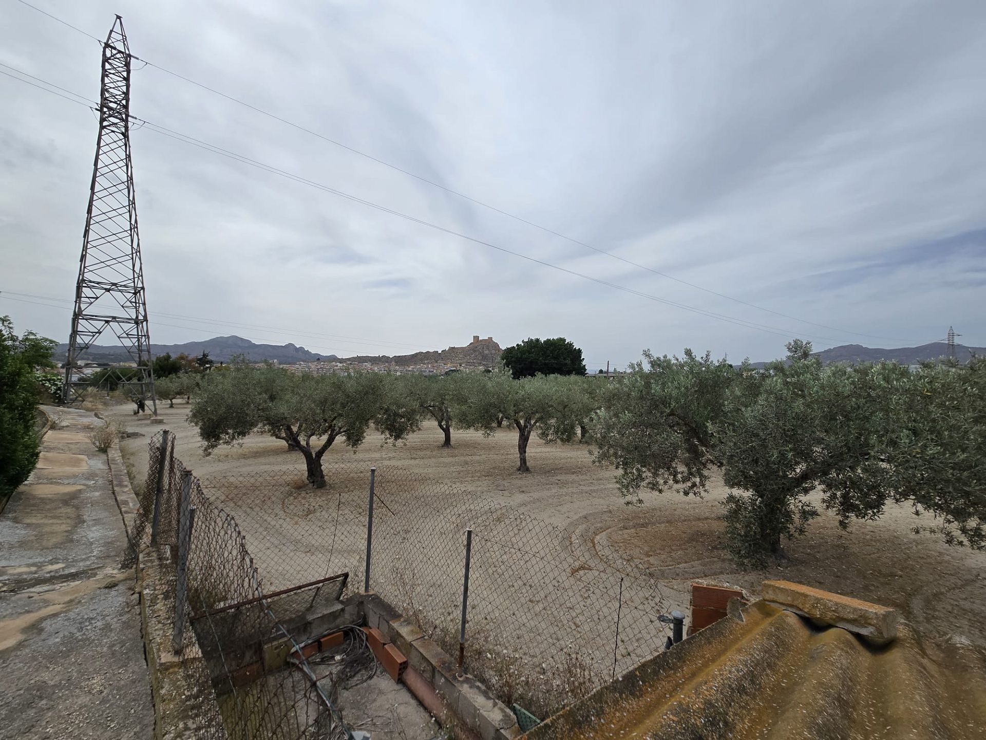 w_img-20250610-wa0035