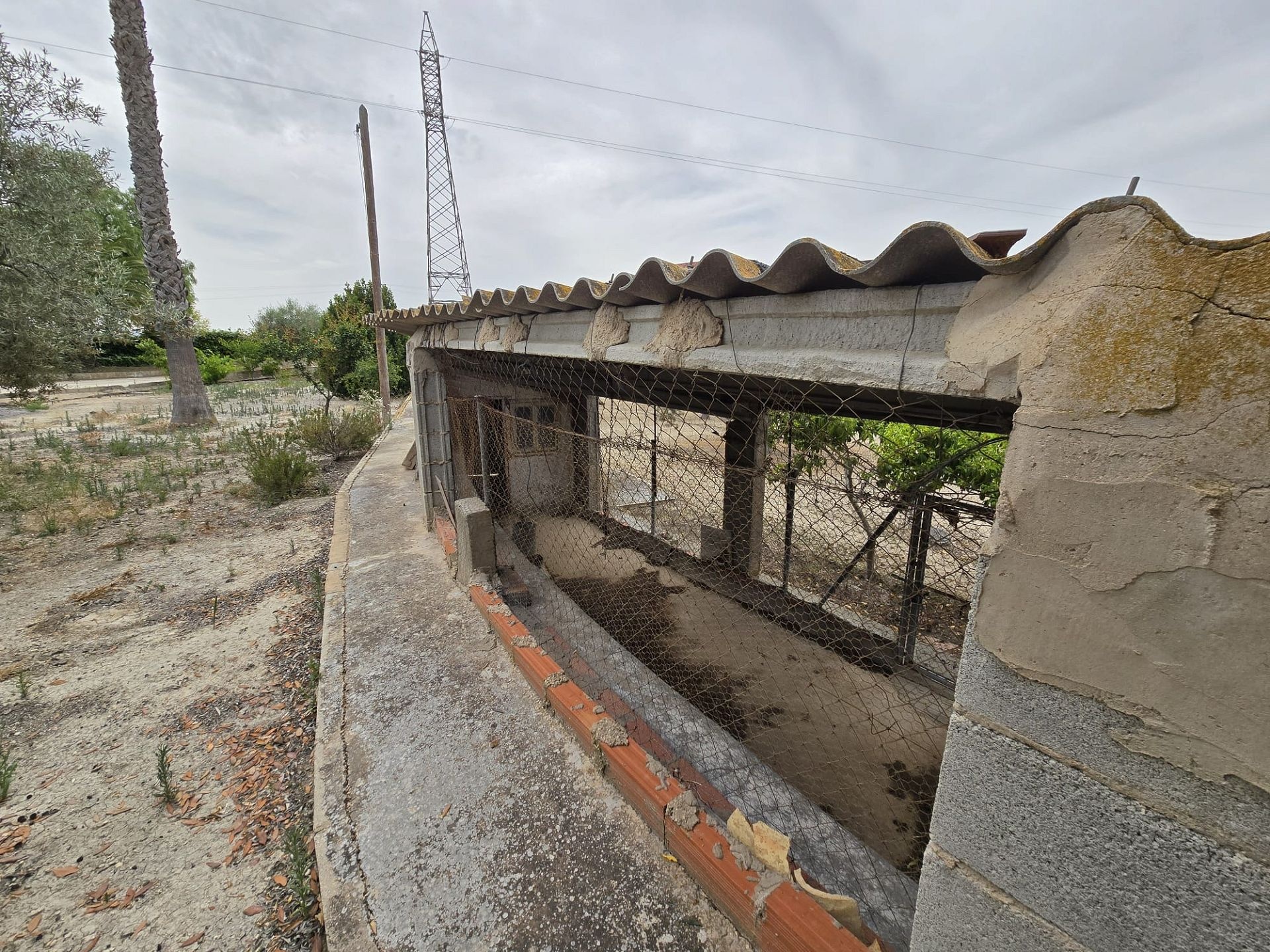 w_img-20250610-wa0037