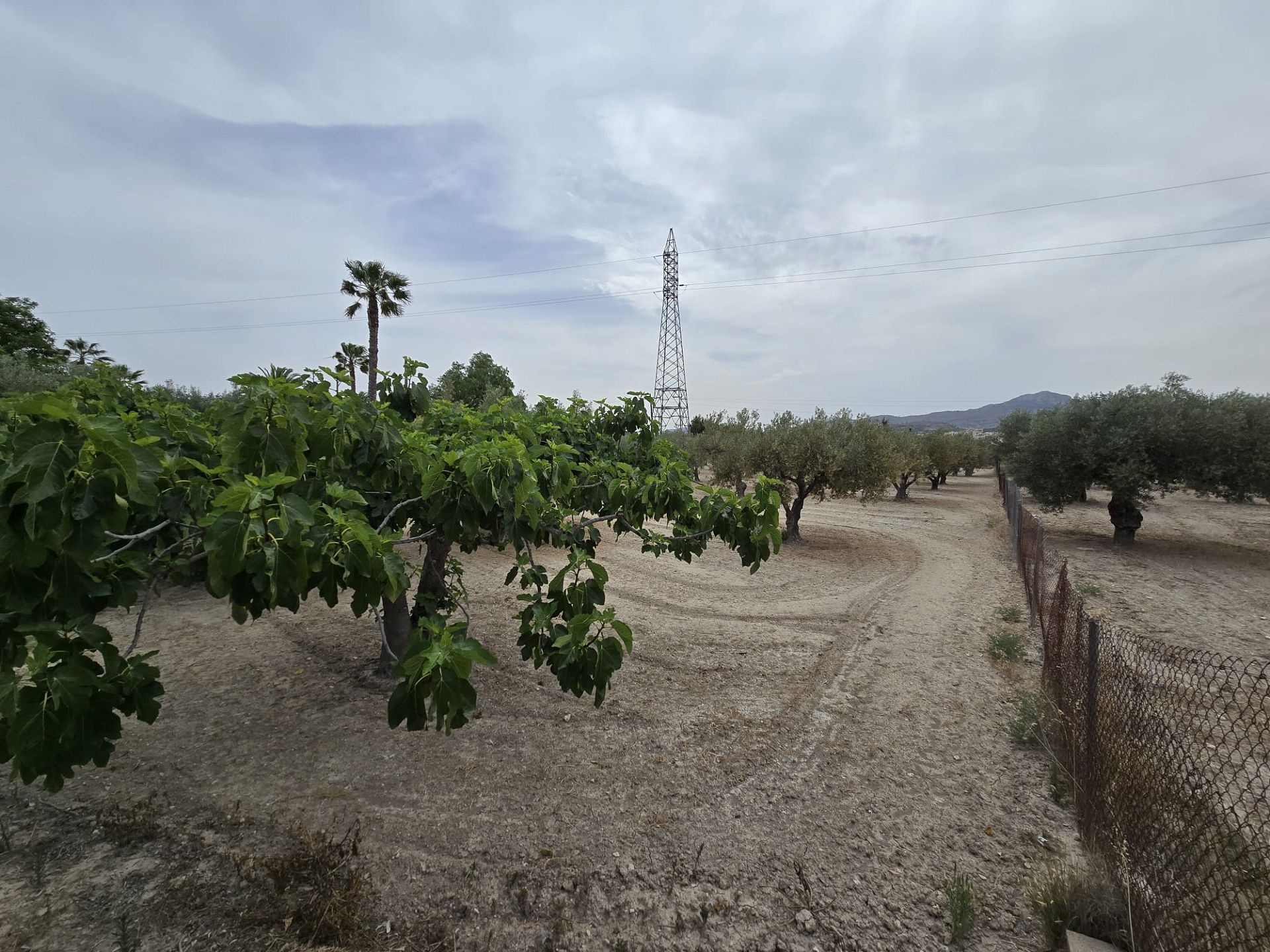 w_img-20250610-wa0038