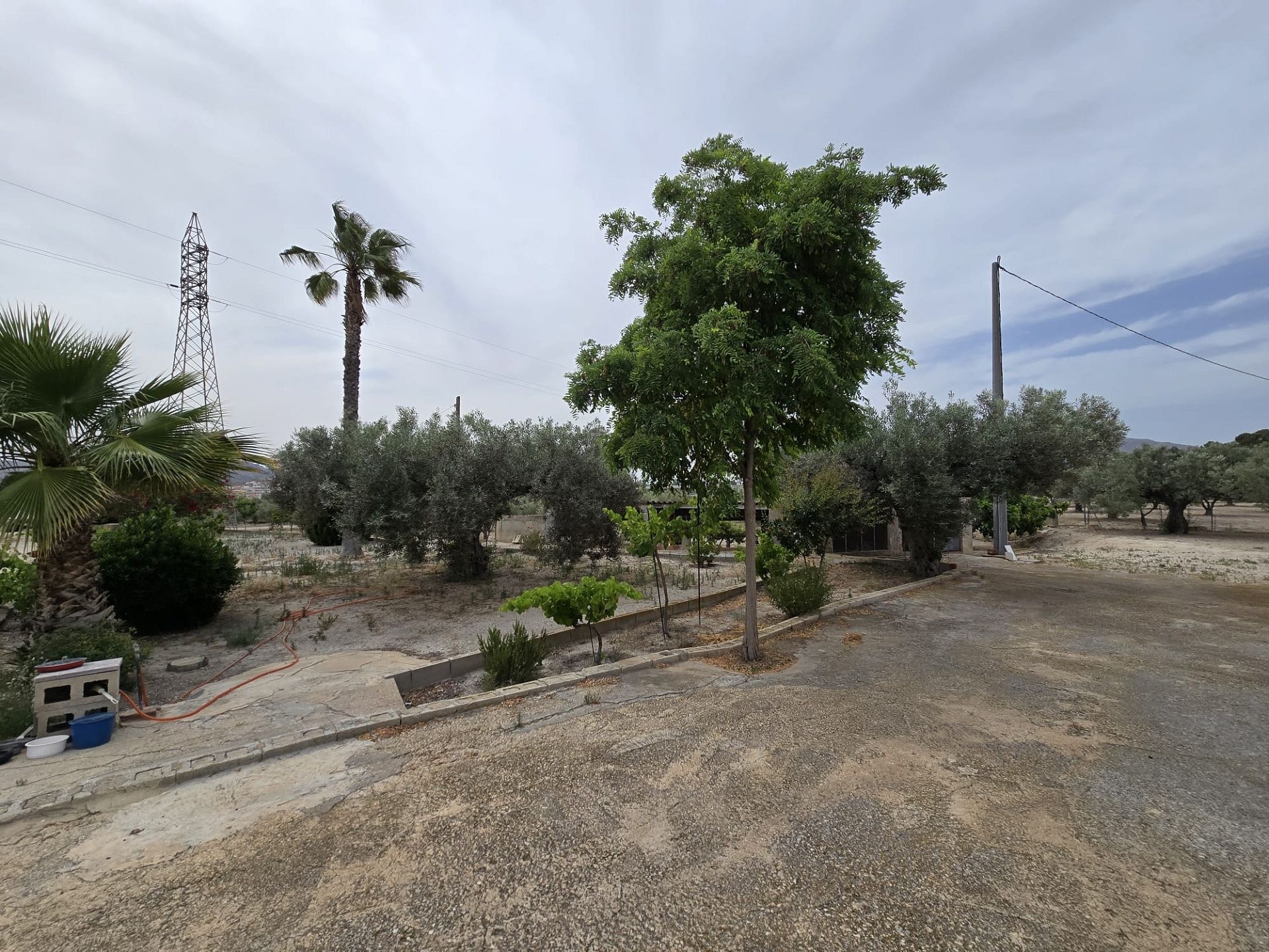 w_img-20250610-wa0044