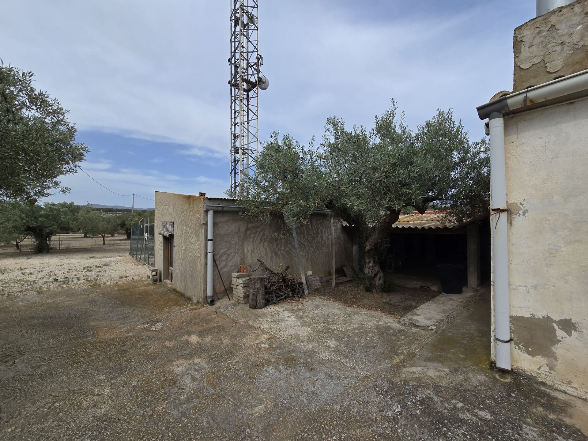 w_img-20250610-wa0047