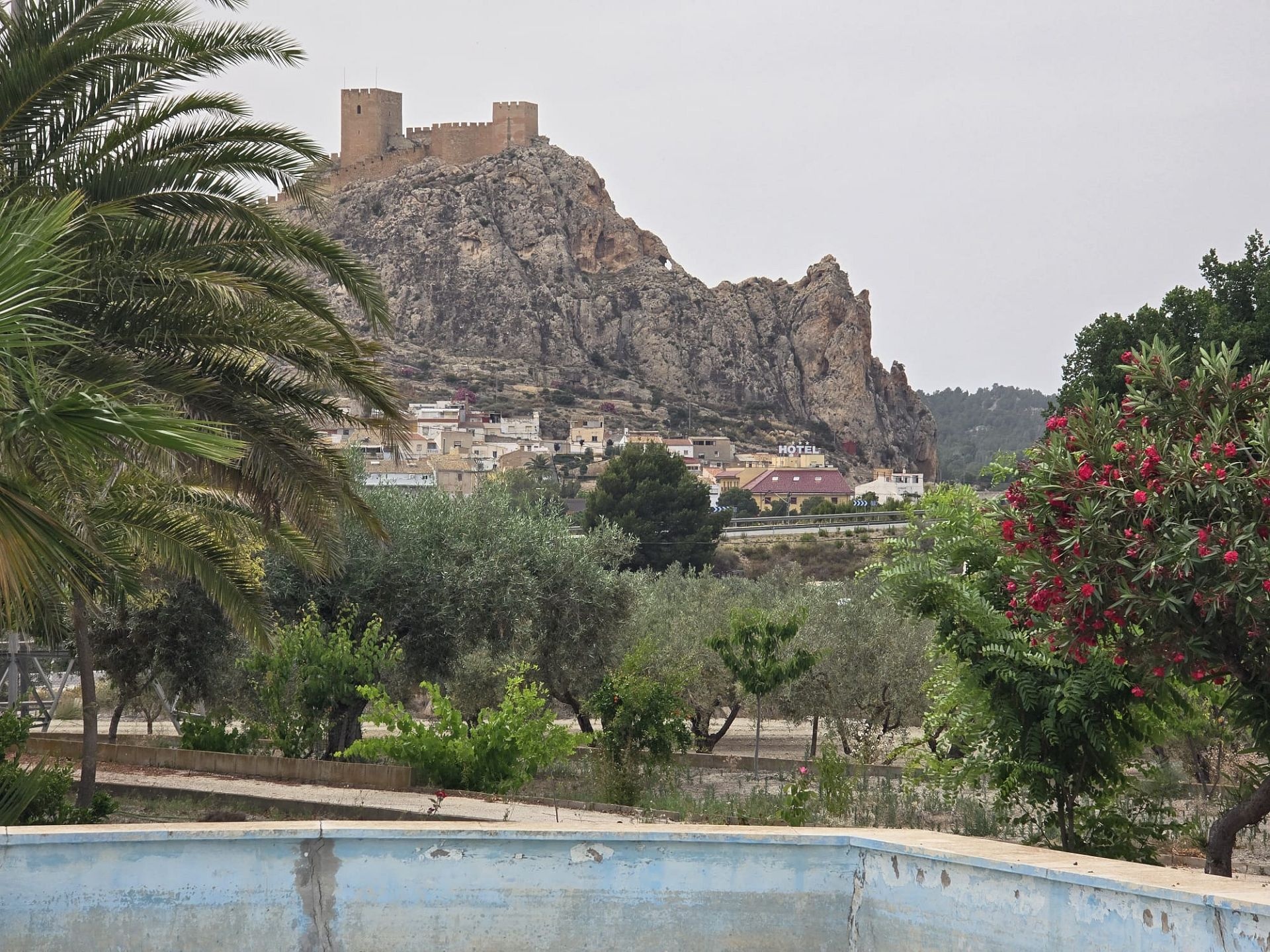 w_img-20250610-wa0060