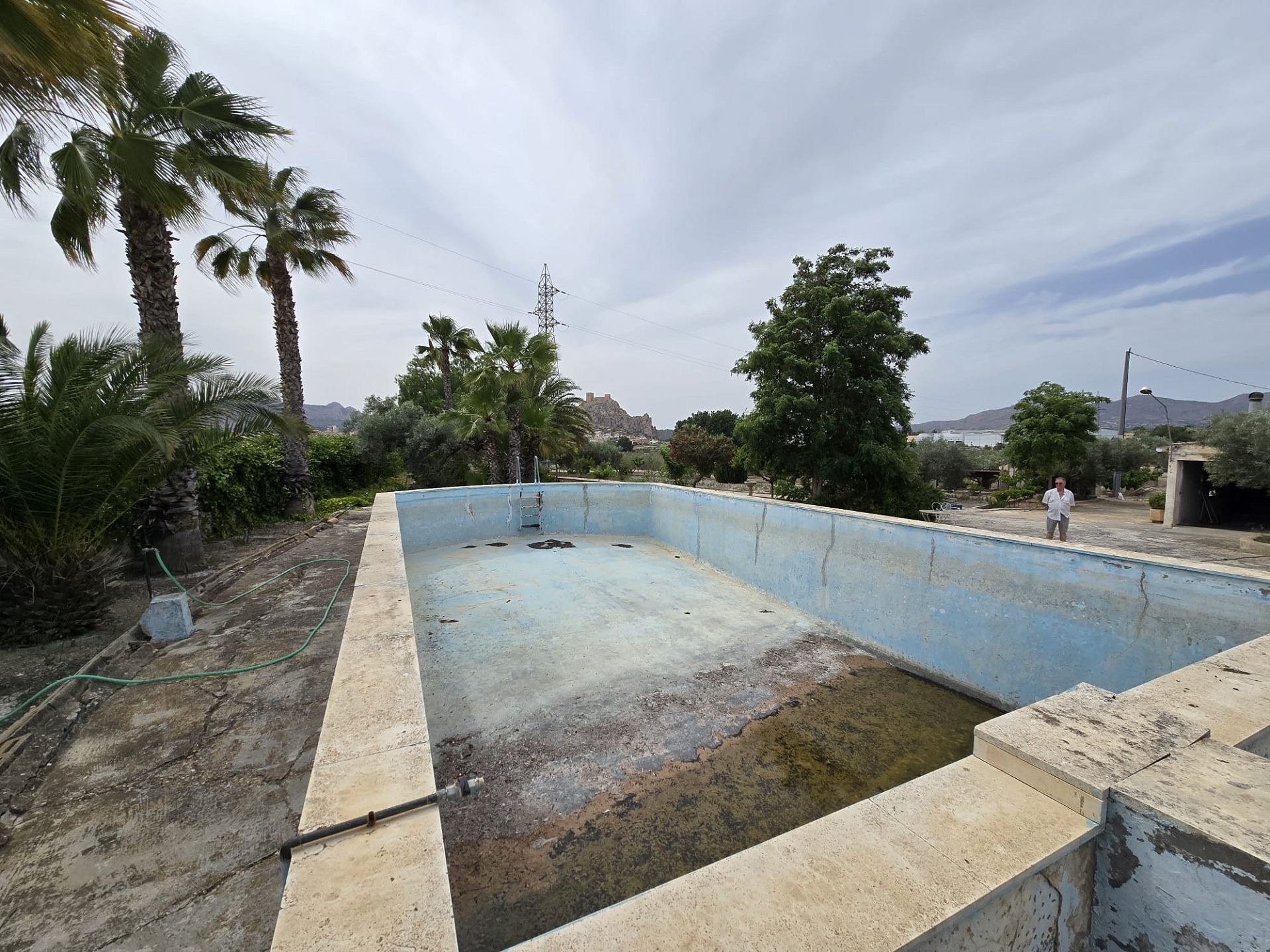 w_img-20250610-wa0063