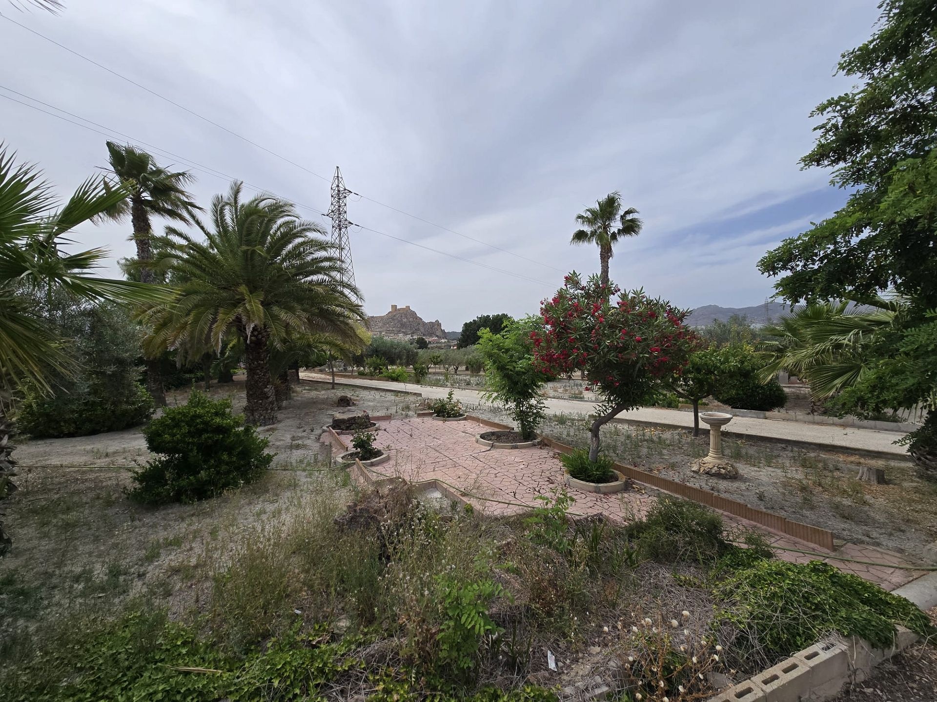 w_img-20250610-wa0064