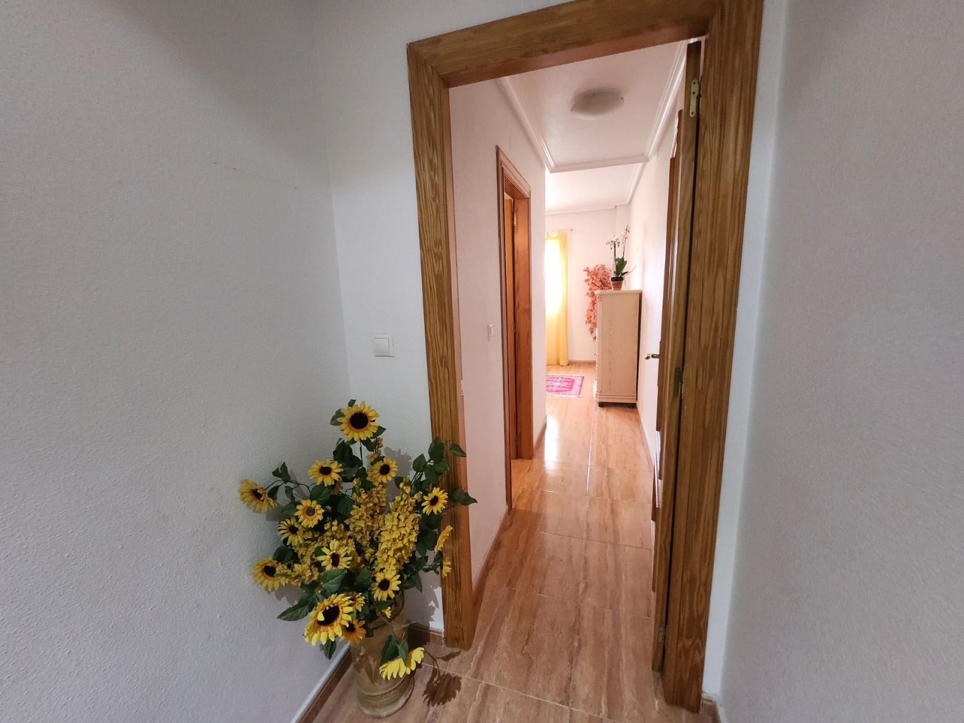 w_img-20250610-wa0068