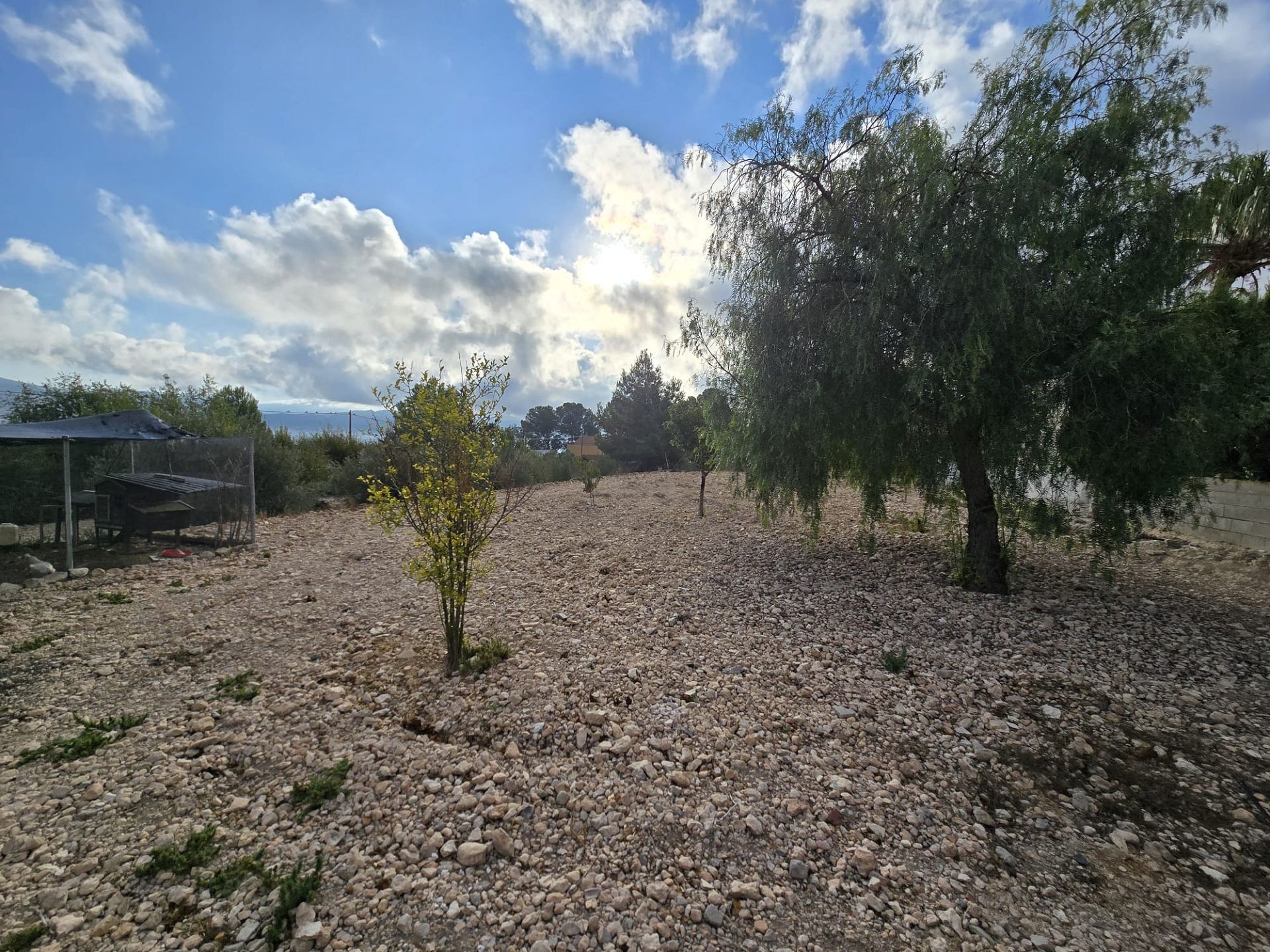 w_img-20251002-wa0102