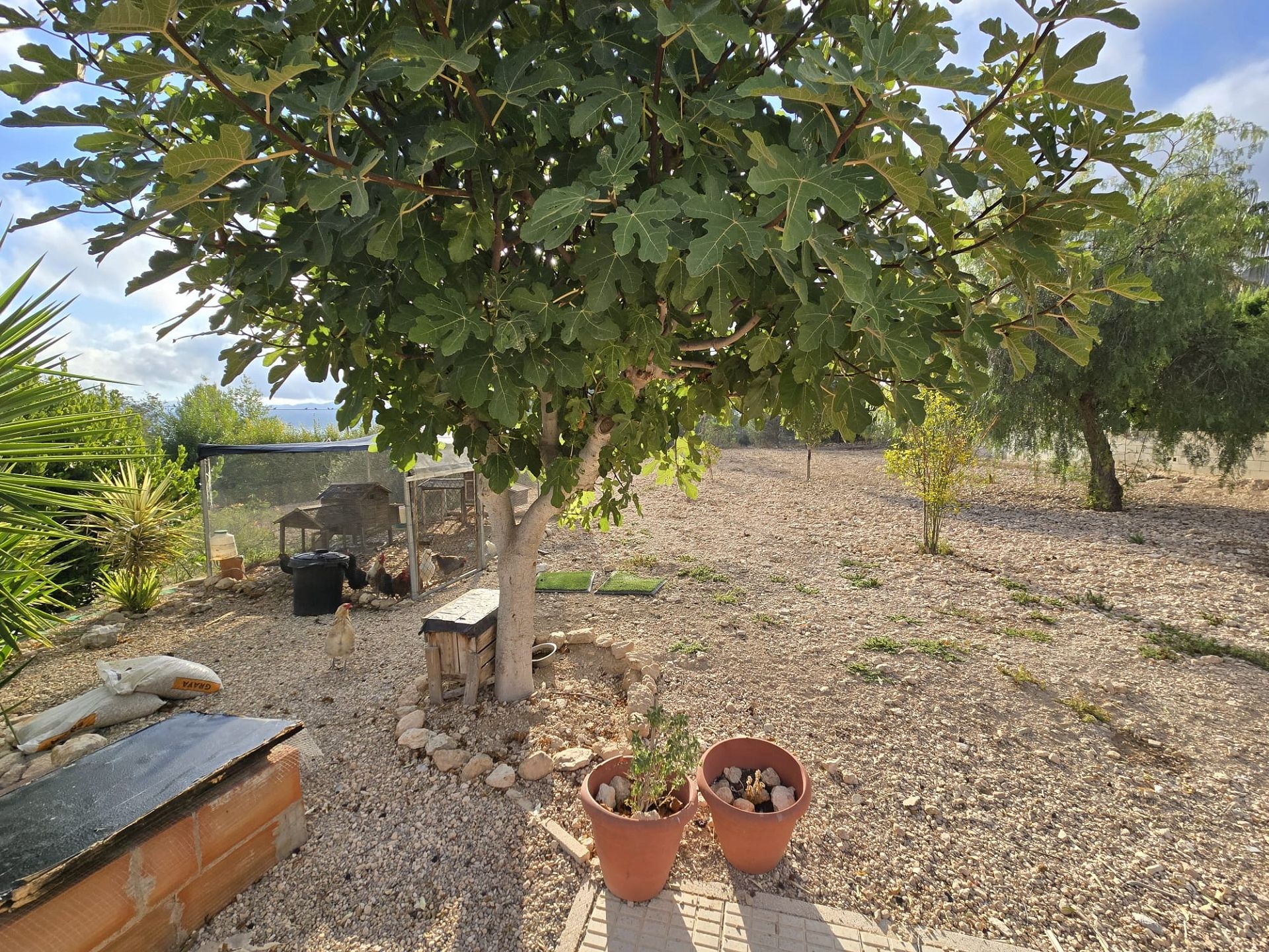 w_img-20251002-wa0106