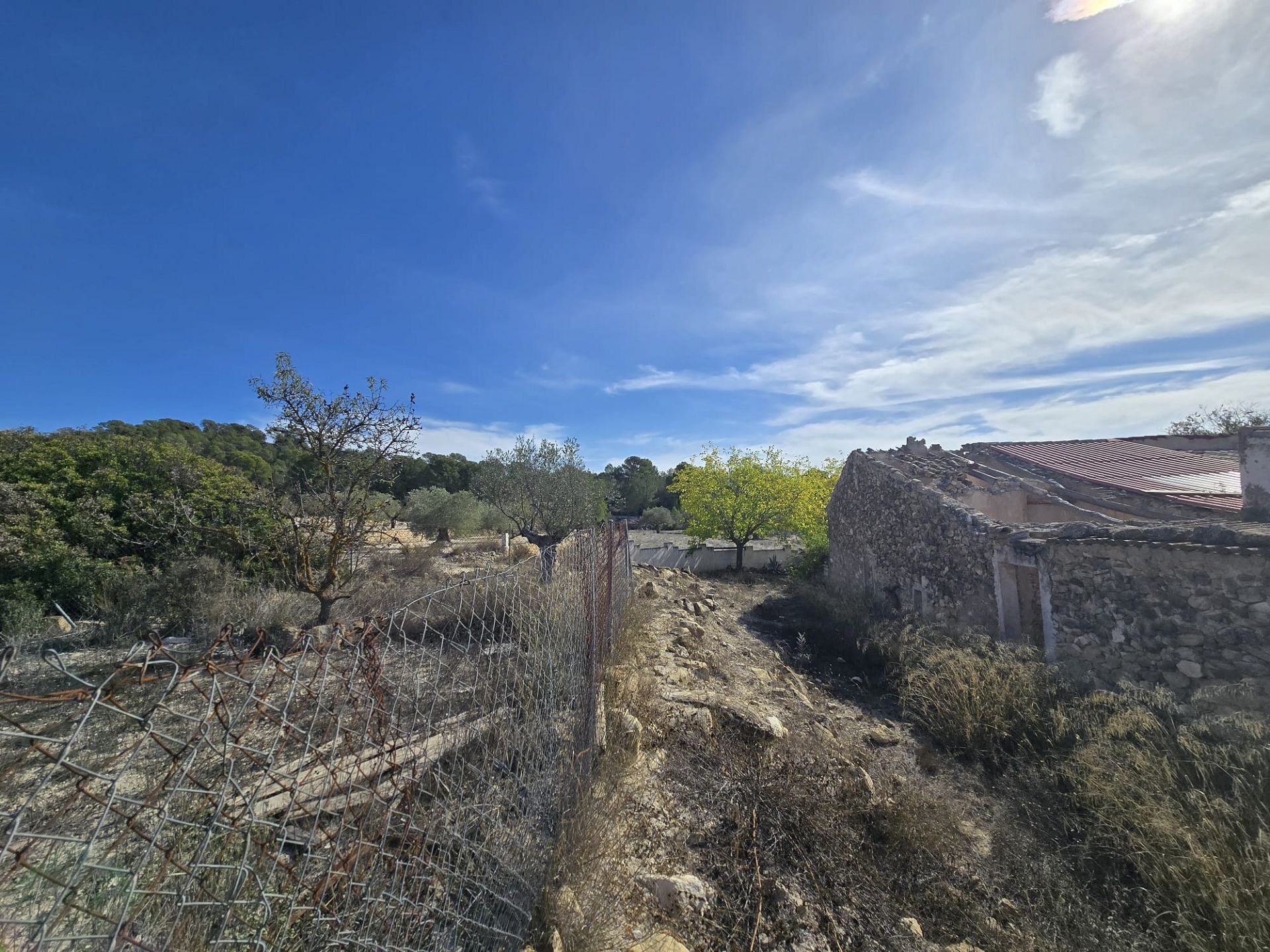 w_img-20251029-wa0040