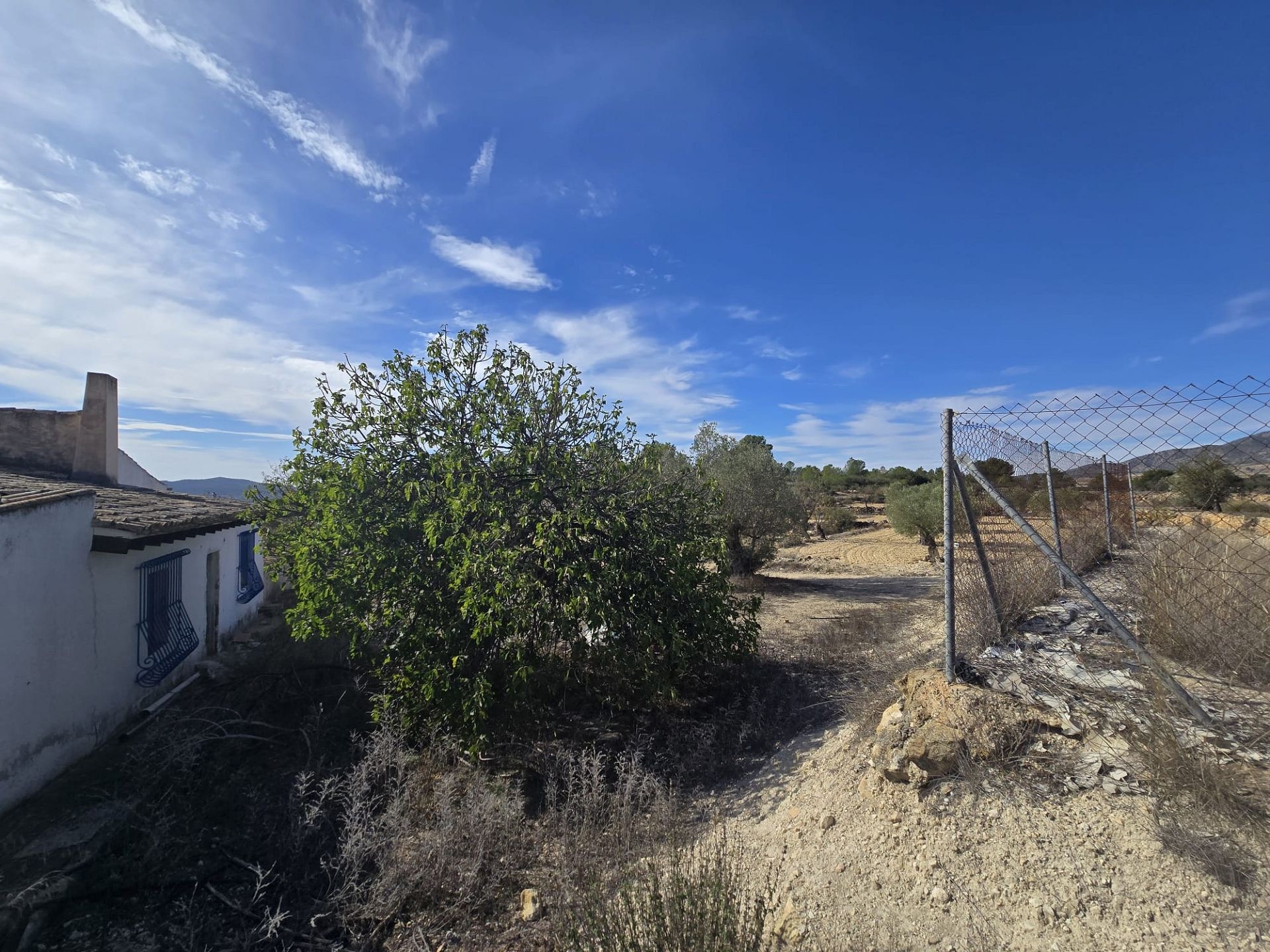 w_img-20251029-wa0041