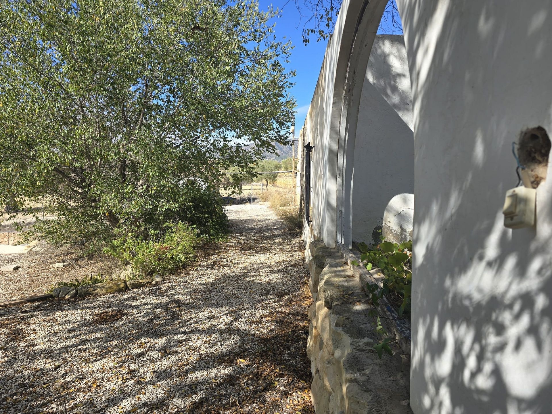 w_img-20251029-wa0045