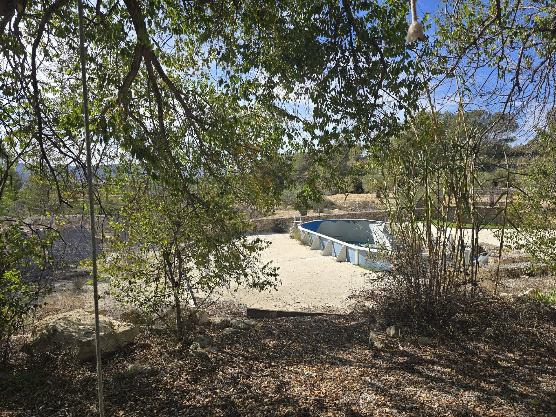 w_img-20251029-wa0048