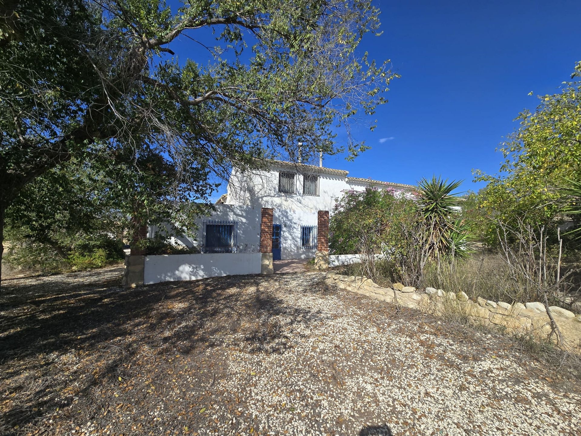 w_img-20251029-wa0049