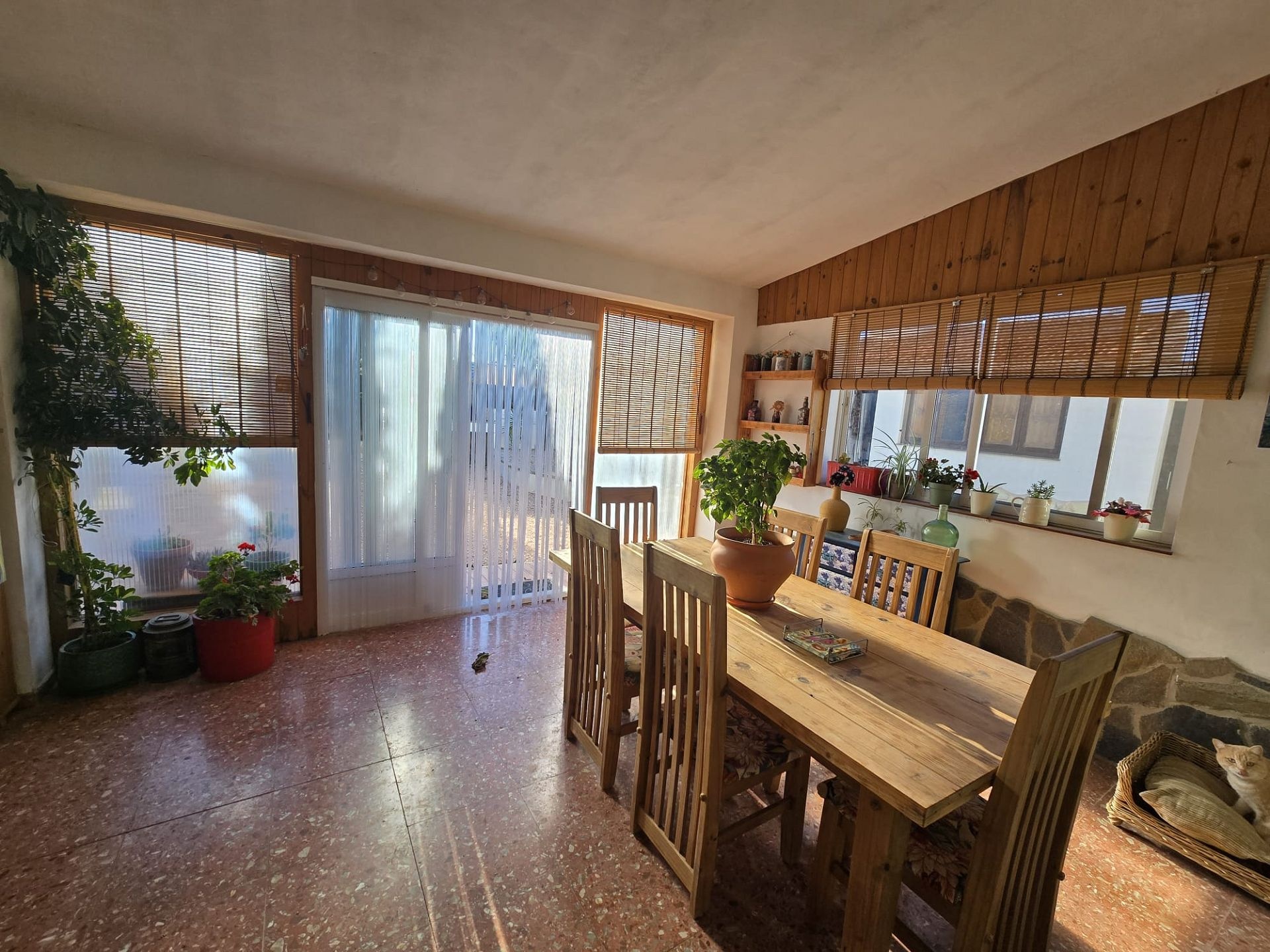 w_img-20251126-wa0037