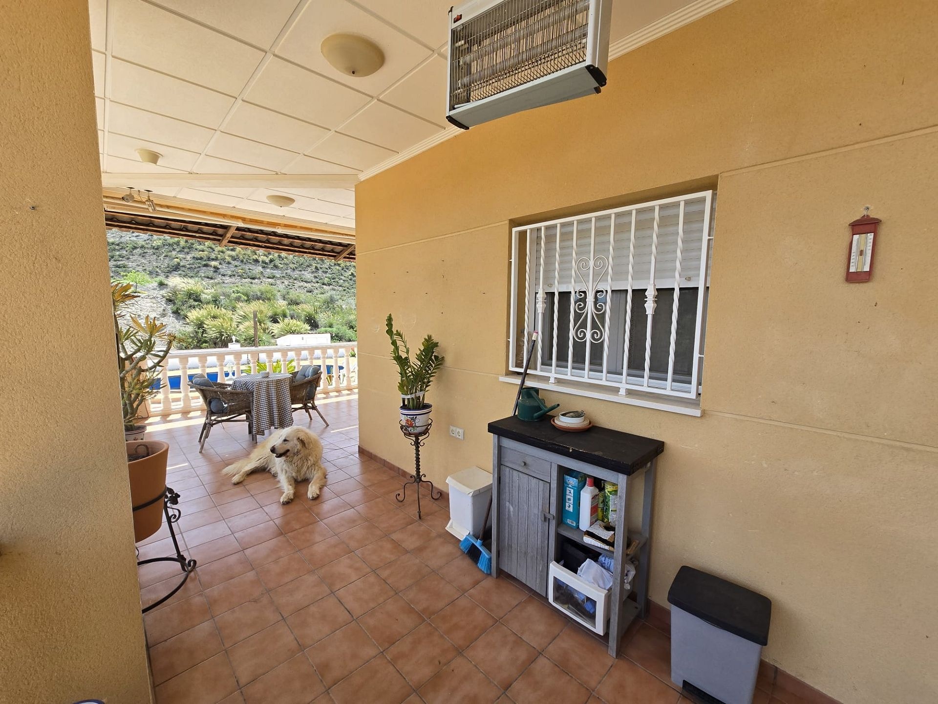 w_img-20251127-wa0026