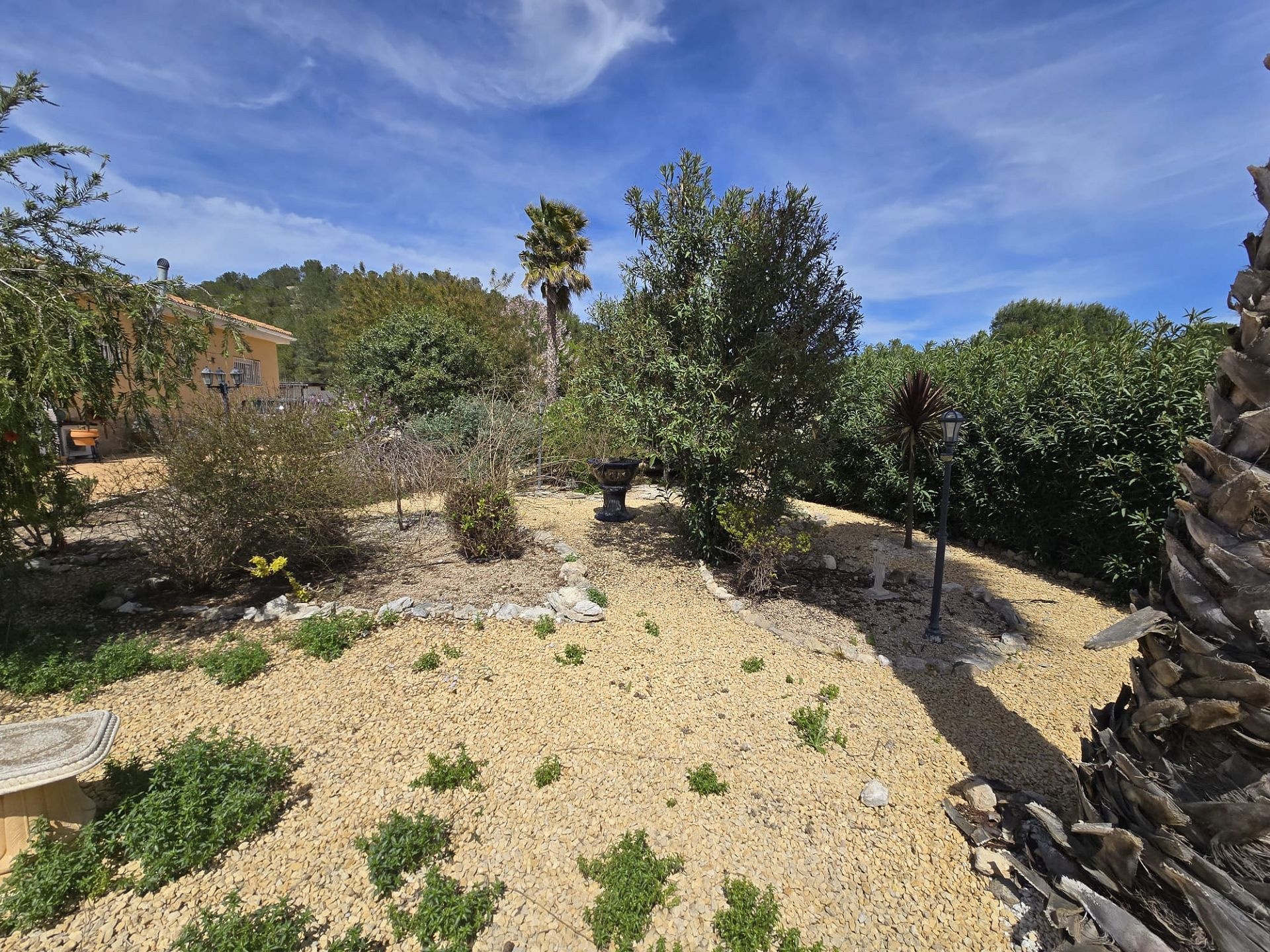 w_img-20251127-wa0031