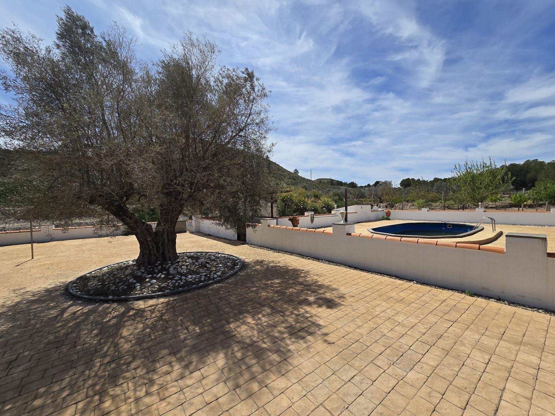 w_img-20251127-wa0032