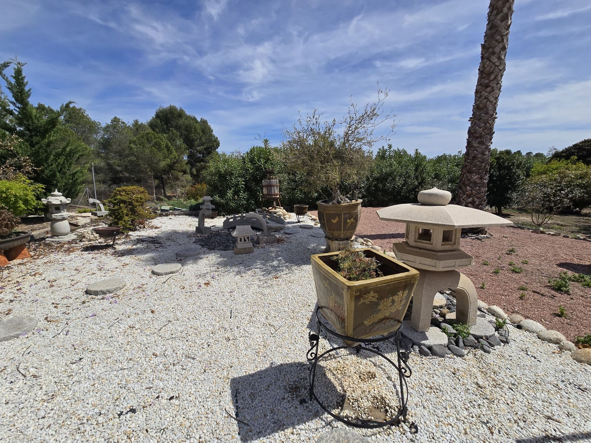 w_img-20251127-wa0035