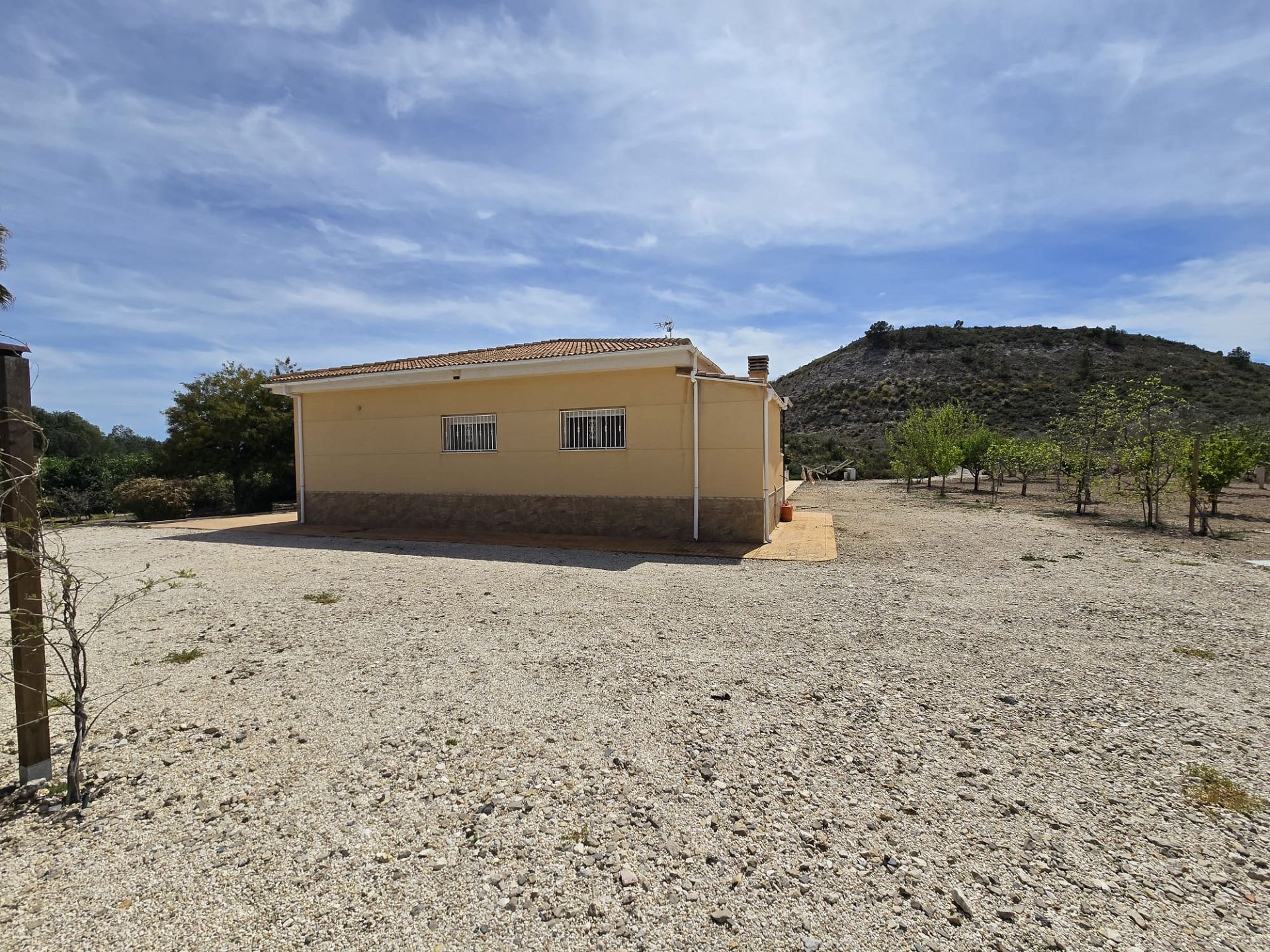 w_img-20251127-wa0037