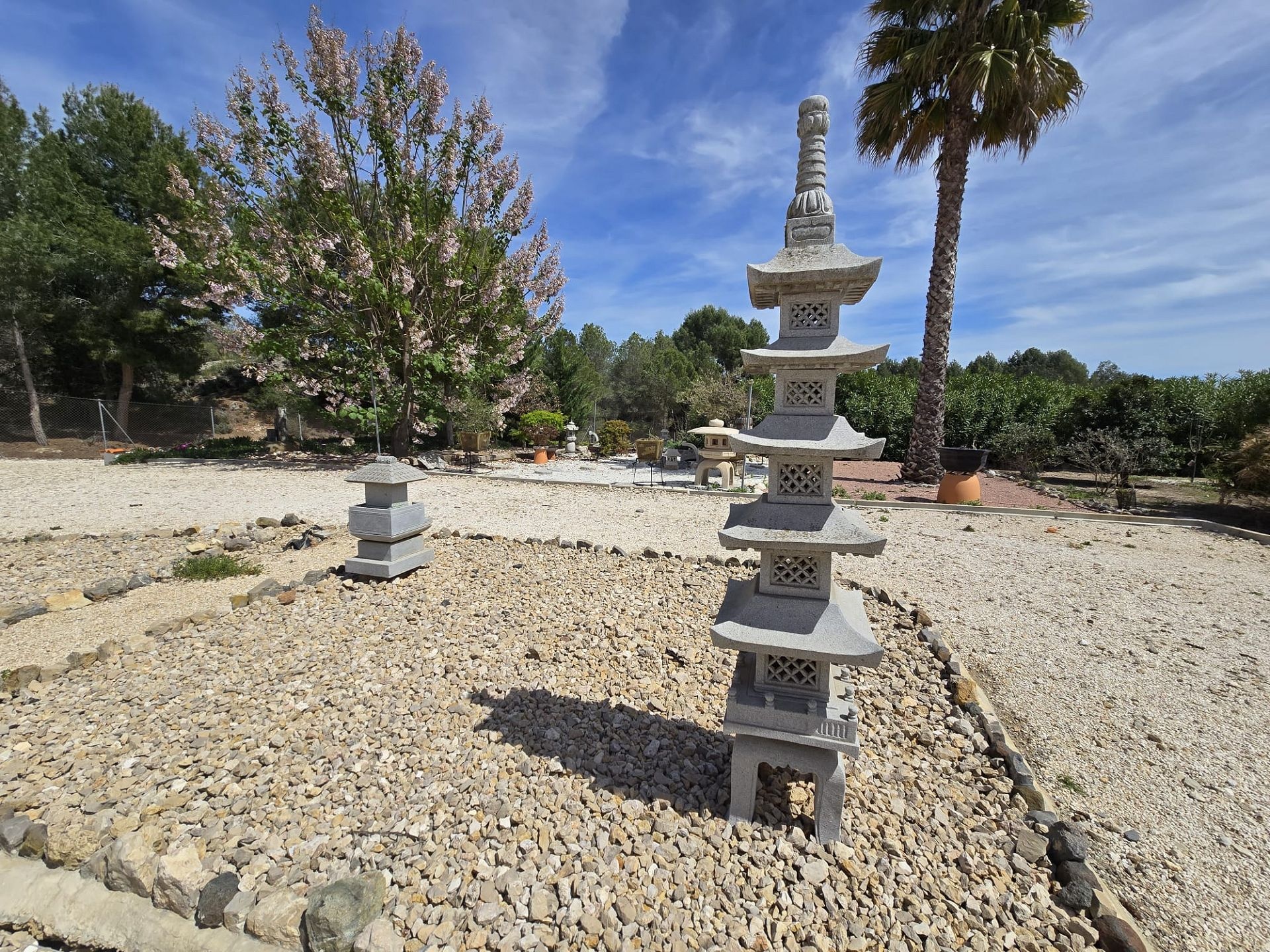 w_img-20251127-wa0038