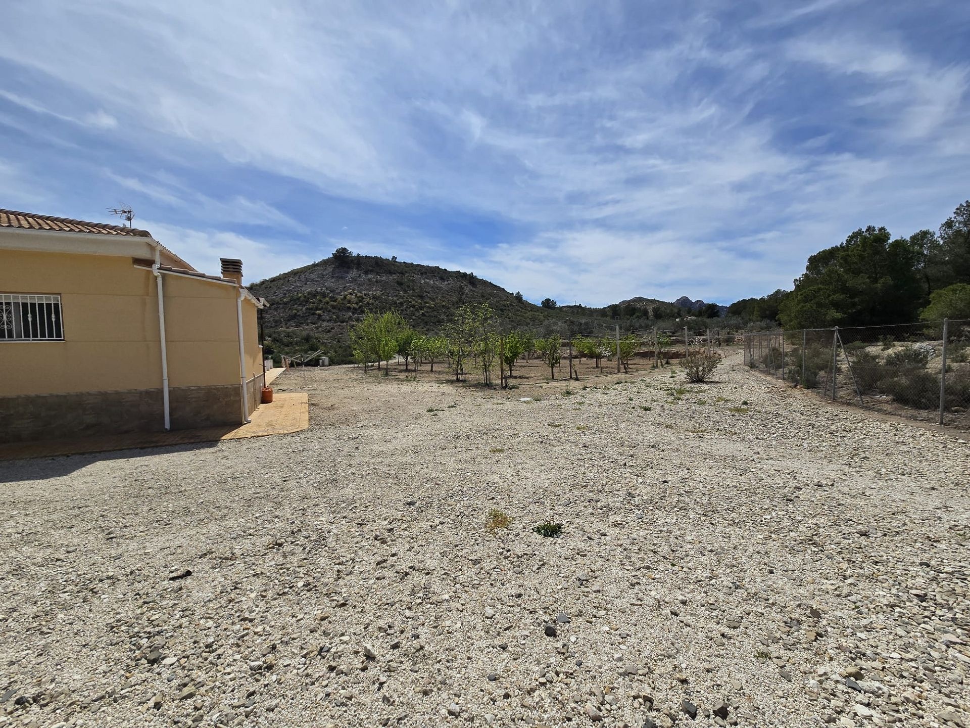 w_img-20251127-wa0039