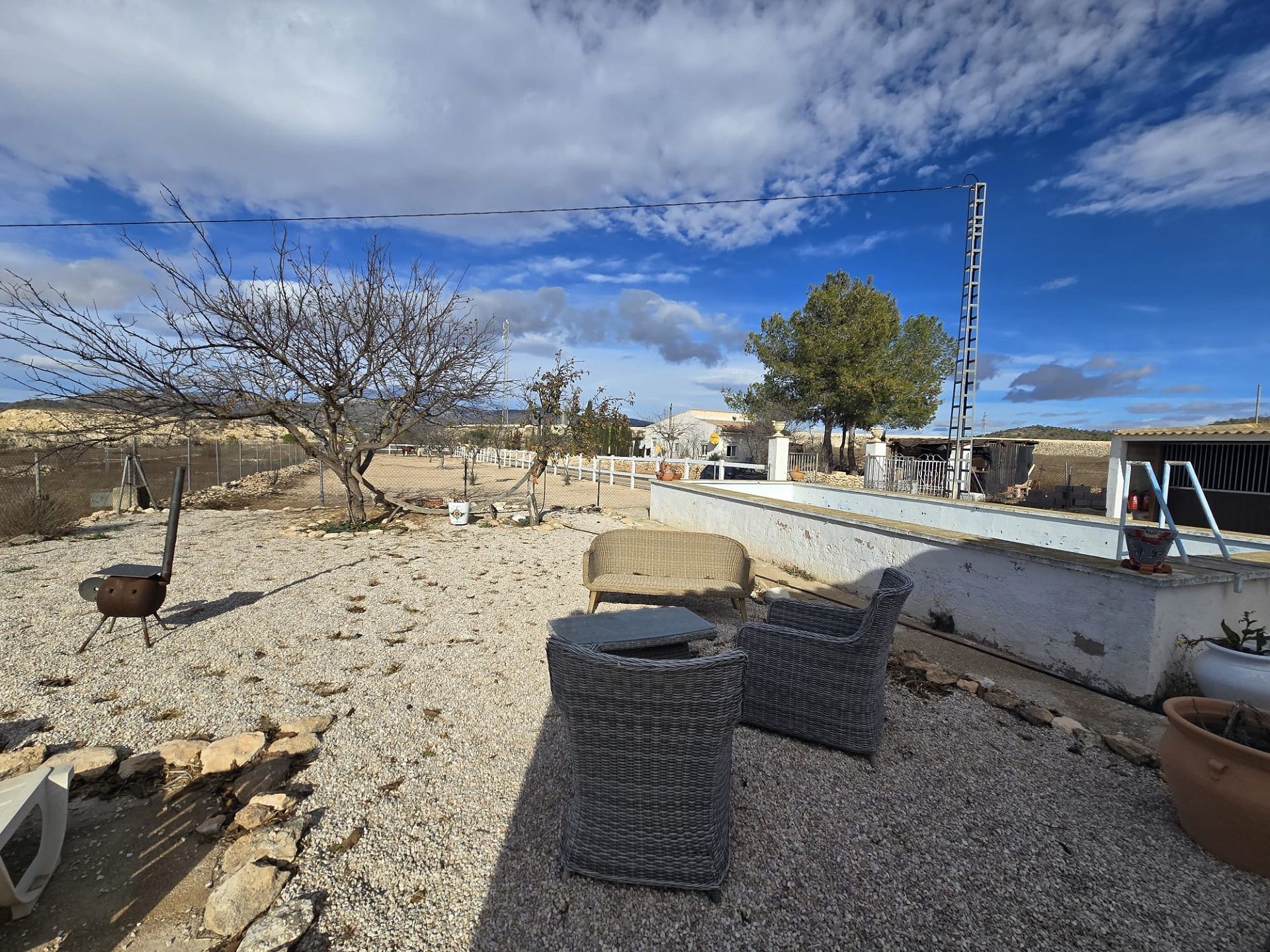 w_img-20251206-wa0006