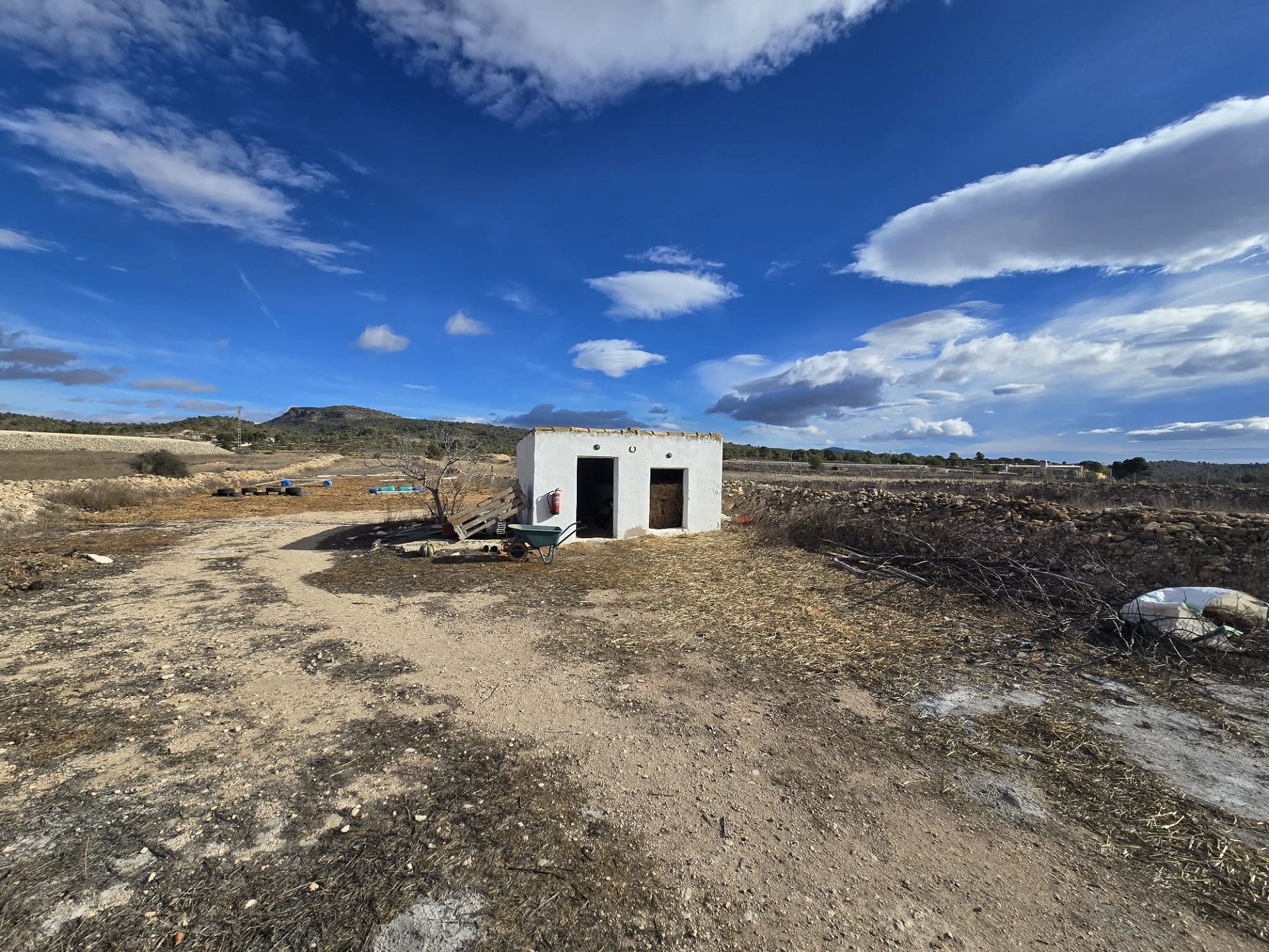 w_img-20251206-wa0012