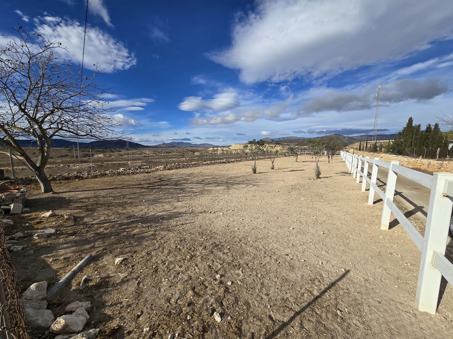 w_img-20251206-wa0019